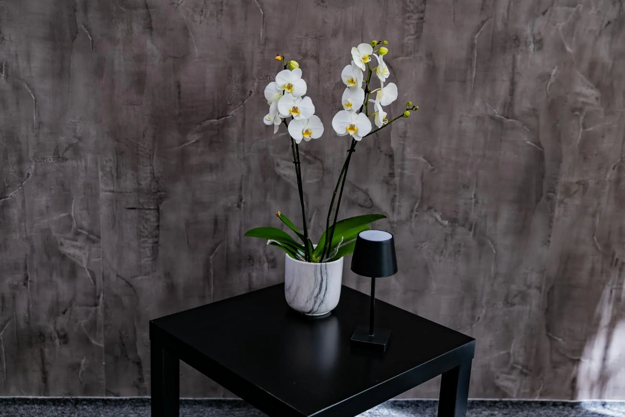 Motel1- A megfizethető luxus!