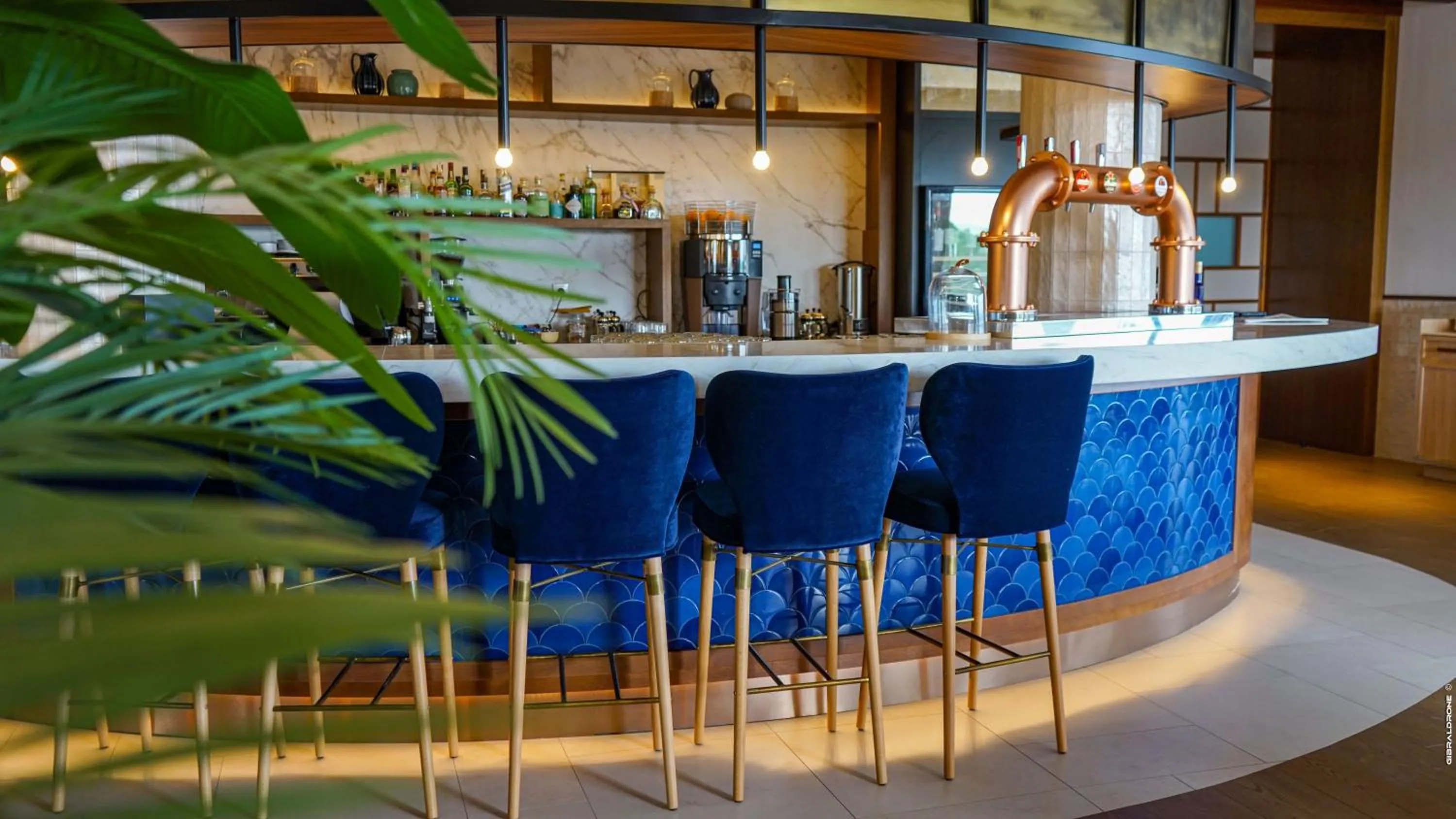 Restaurant/places to eat in SO/ Sotogrande Spa & Golf Resort Hotel