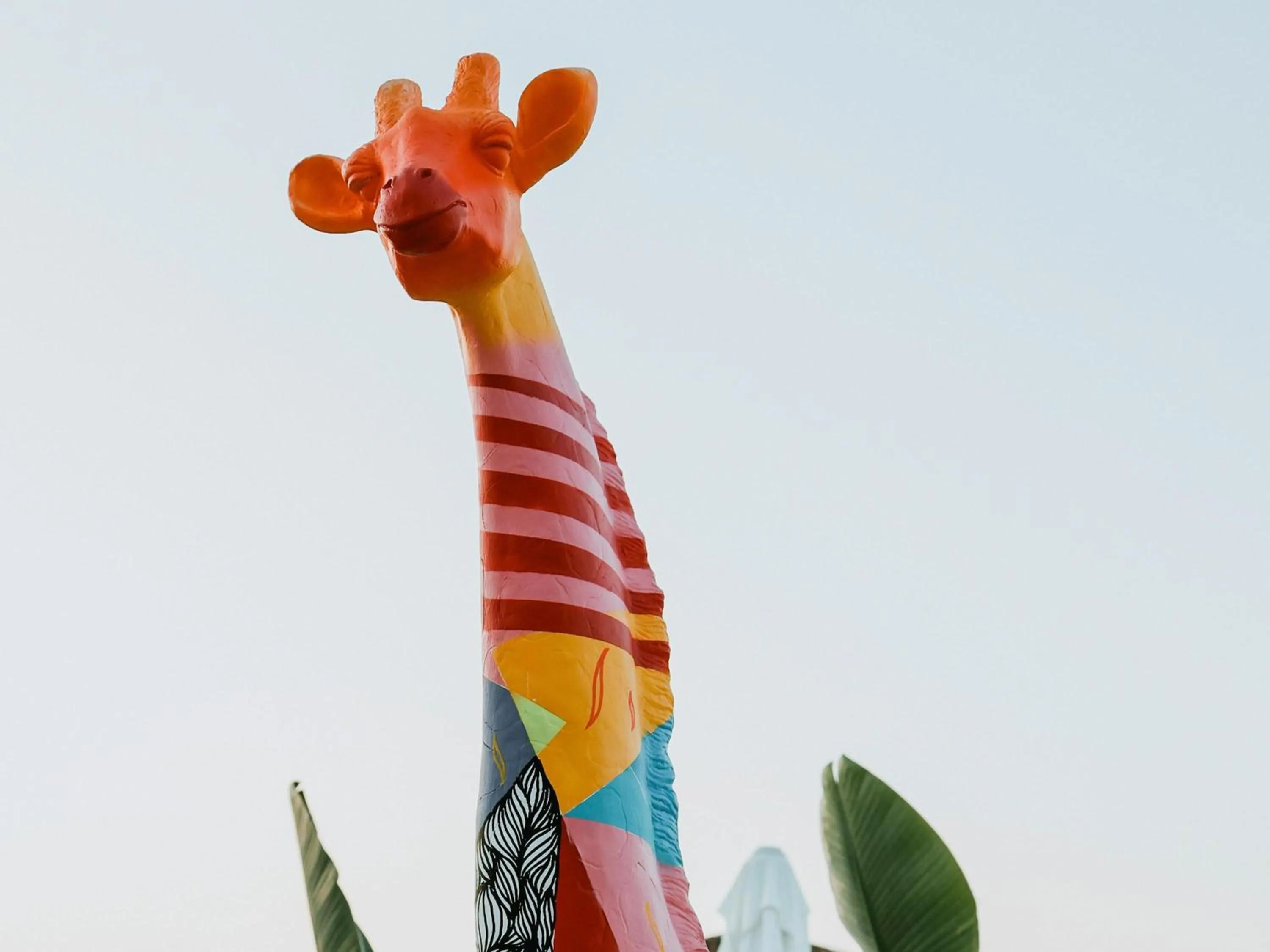 Restaurant/places to eat in SO/ Sotogrande Spa & Golf Resort Hotel