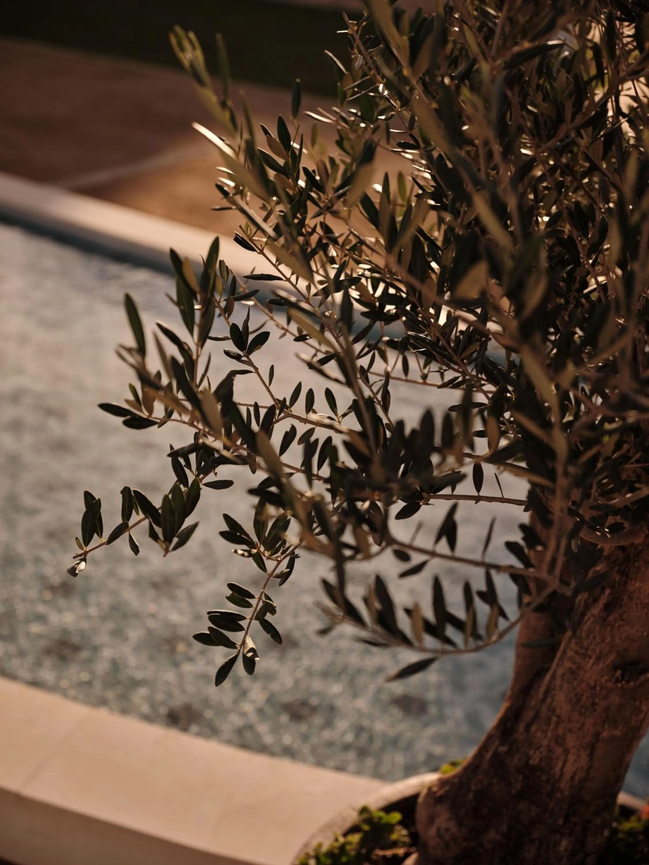 Natural landscape in SO/ Sotogrande Spa & Golf Resort Hotel