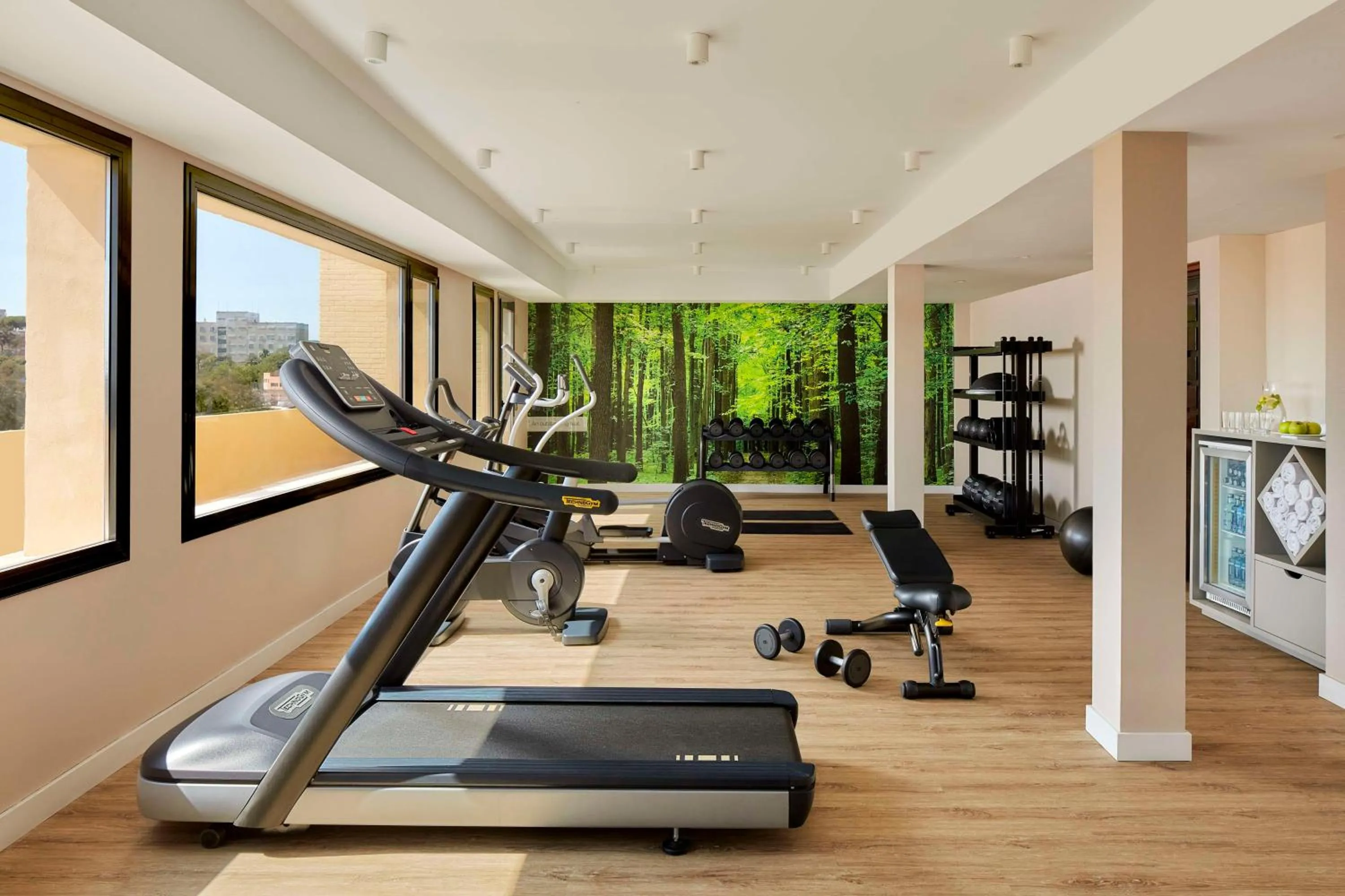 Fitness centre/facilities in NH Luz Huelva
