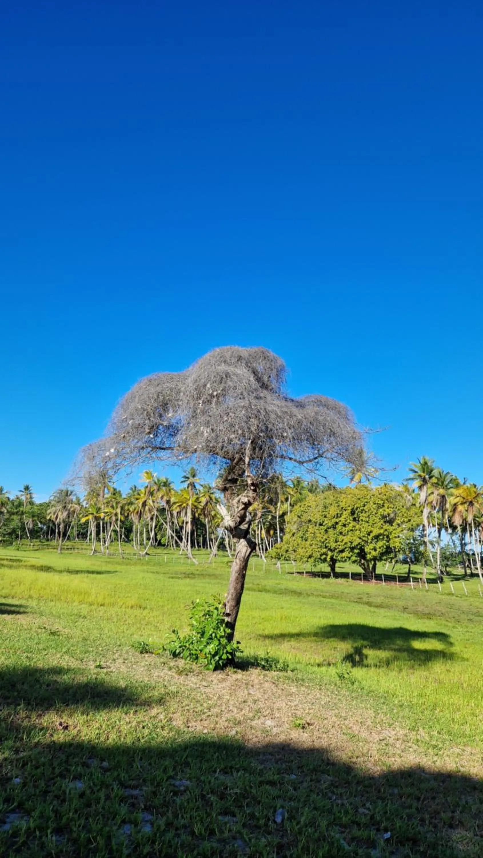 Nearby landmark in Pousada Casa da Edinha