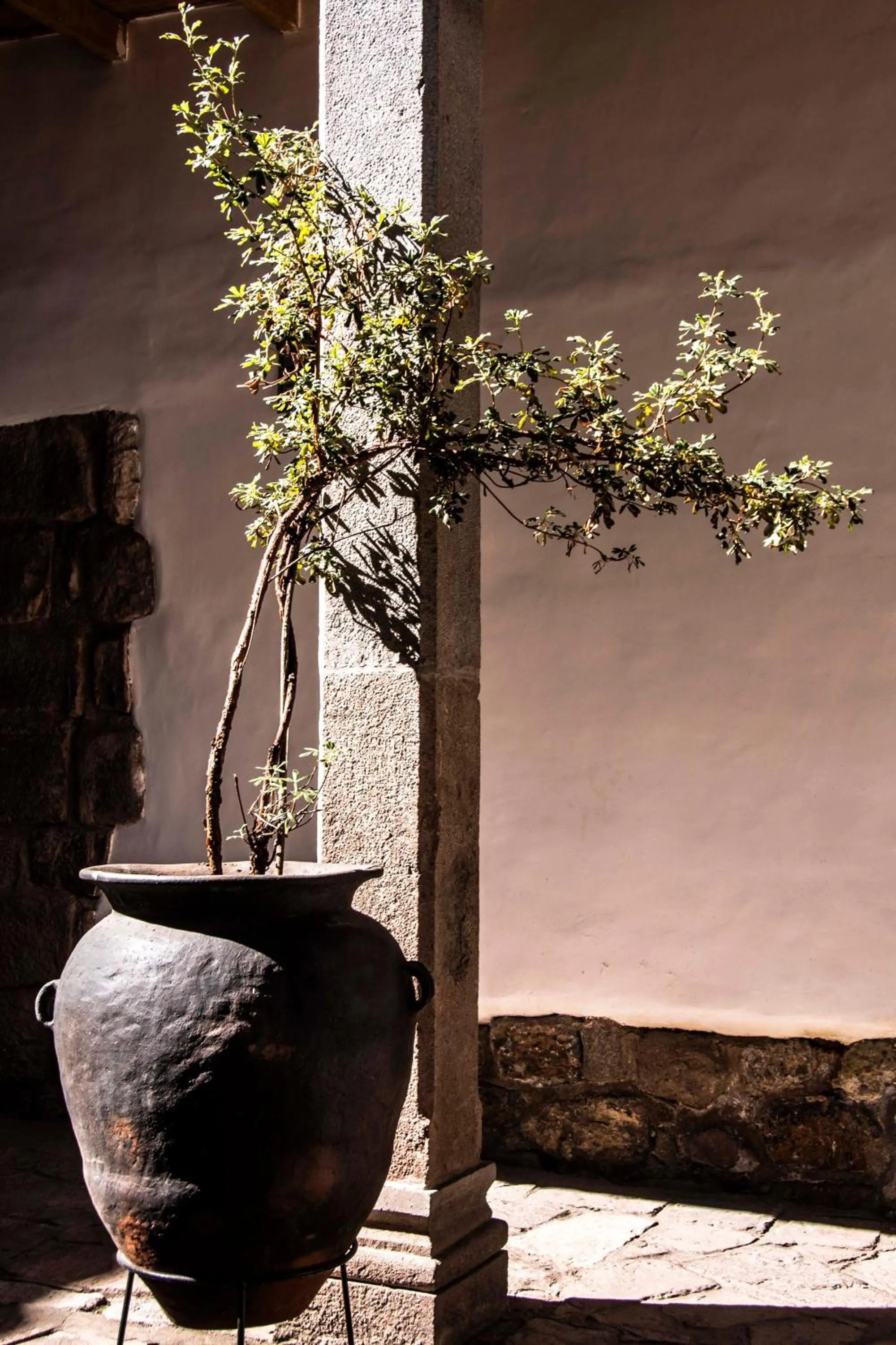 Patio in Abittare Hotel