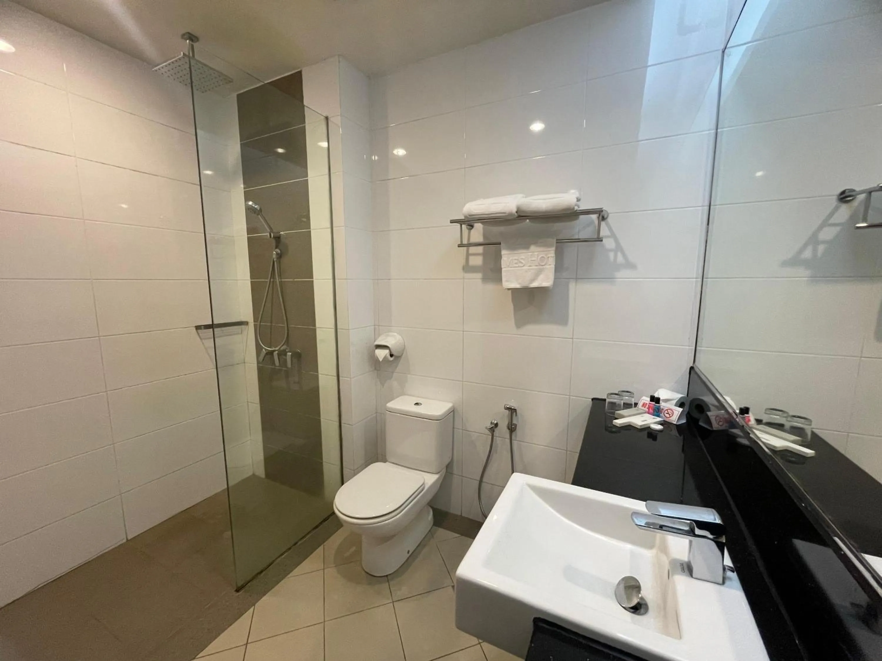 Bathroom in Times Hotel Brunei