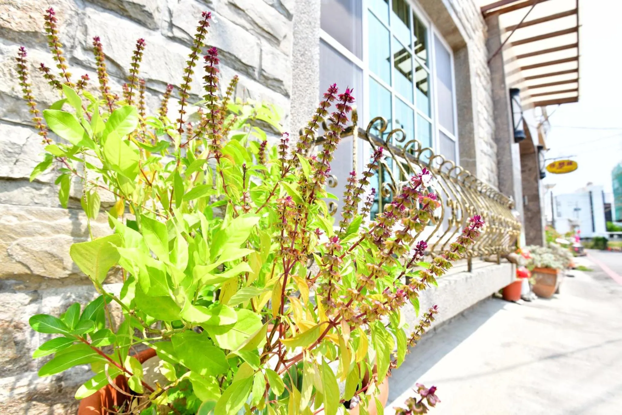 Off site in Kenting Dream Hotel