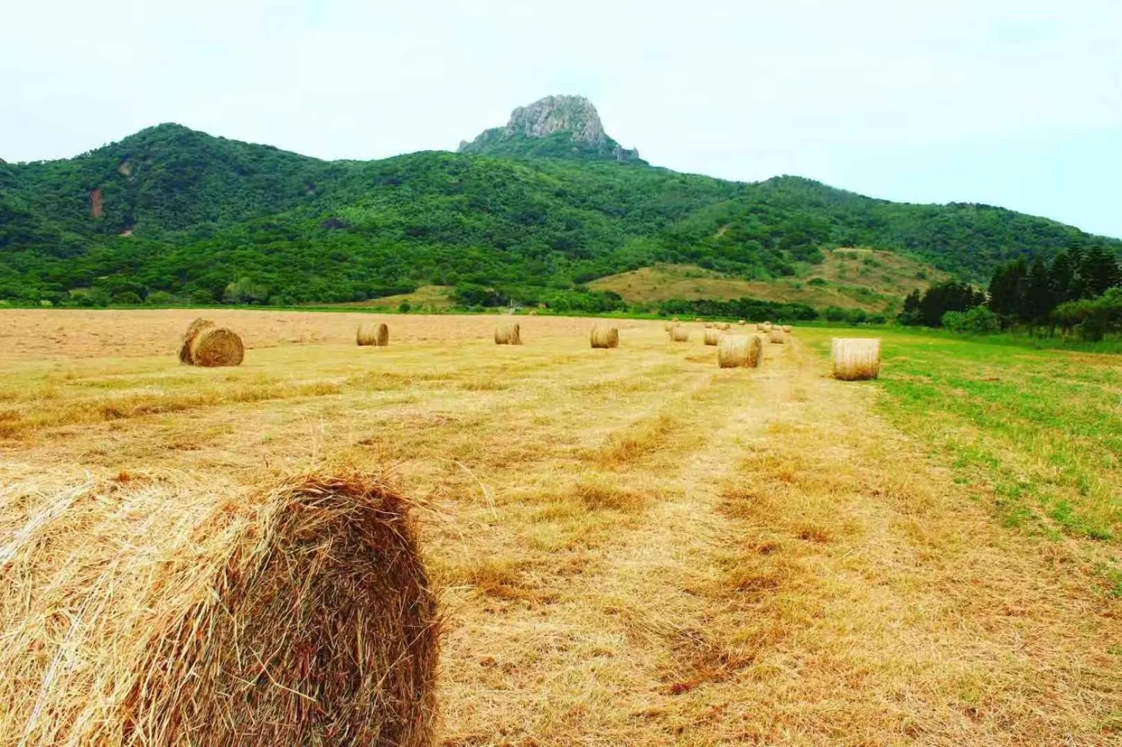 Day in Kenting Dream Hotel