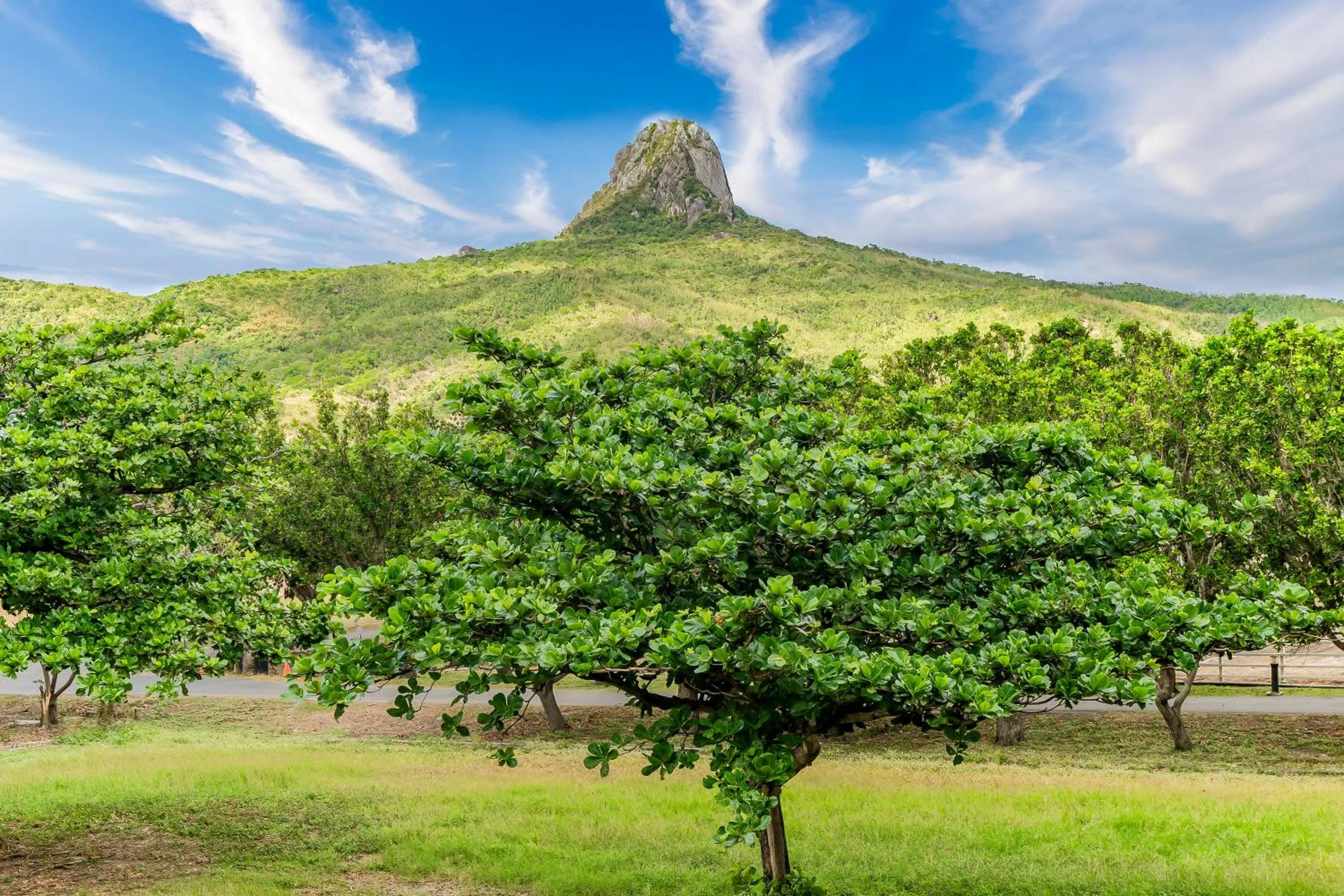 Mountain view in Wei Yuan Hotel