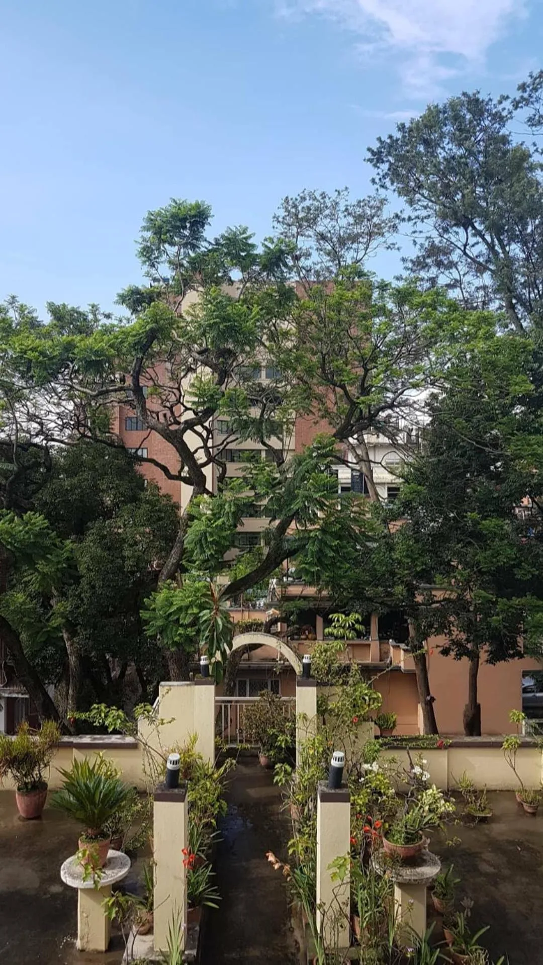 Garden in Imperial House Thamel - 2 km from Swayambhunath Temple