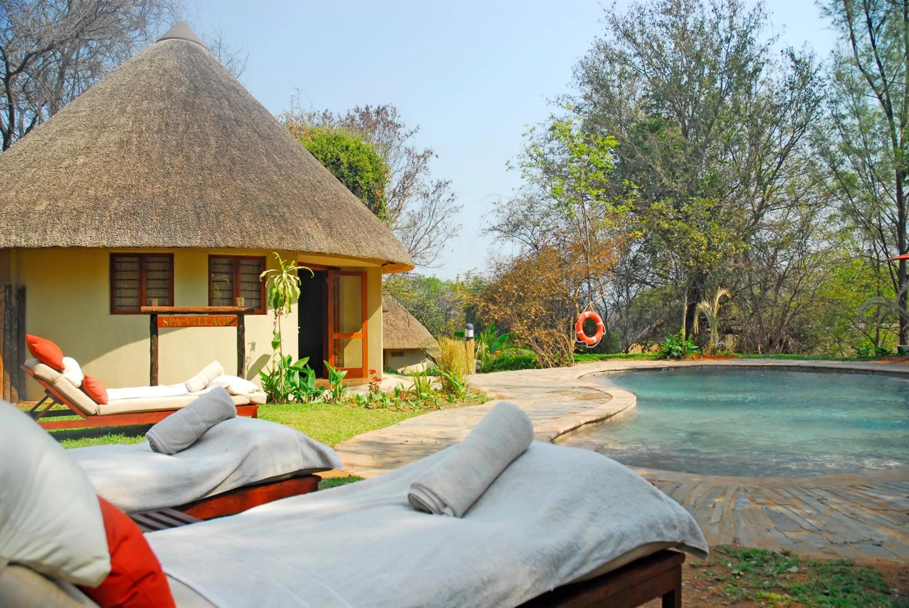 Swimming pool in Divava Okavango