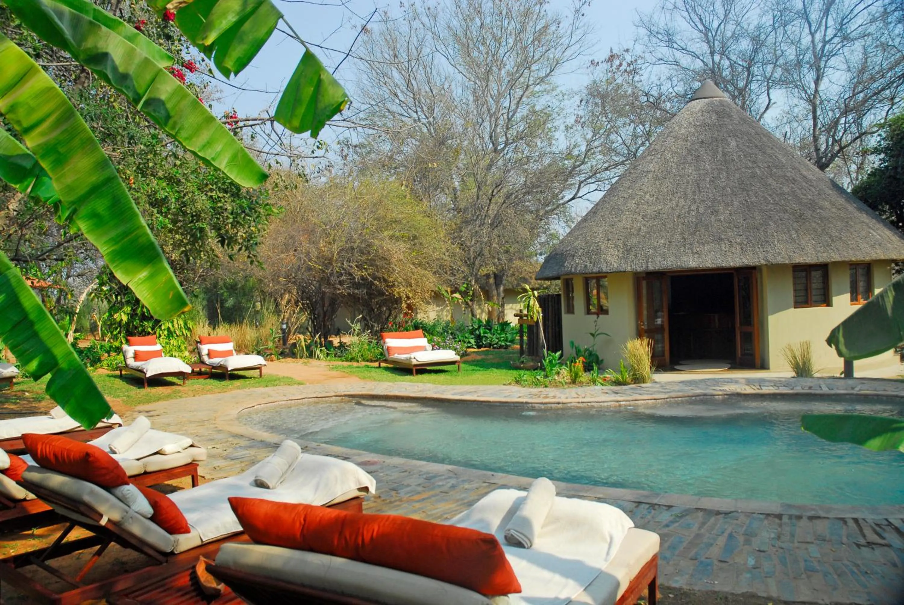Swimming pool in Divava Okavango