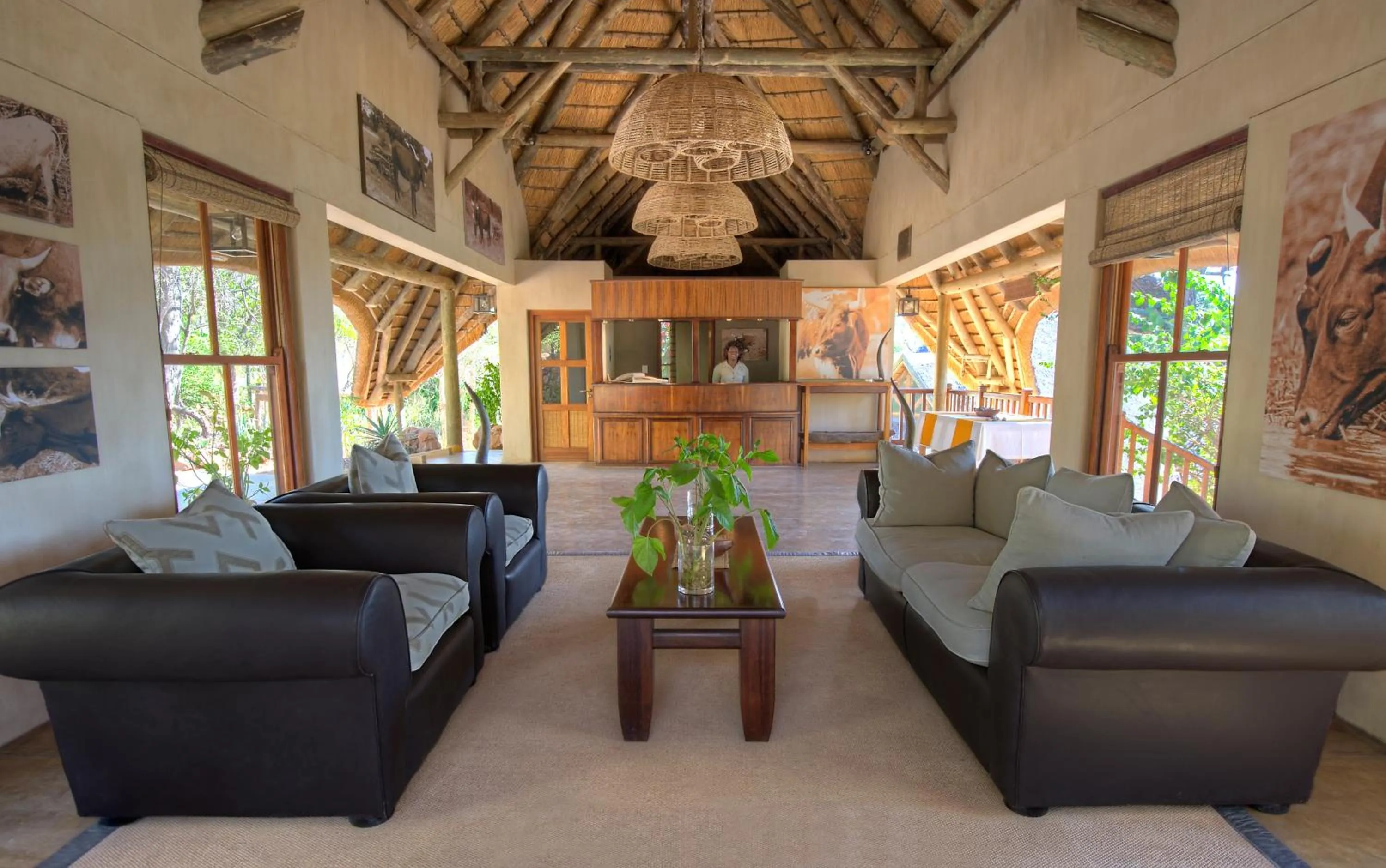 Lobby or reception in Divava Okavango