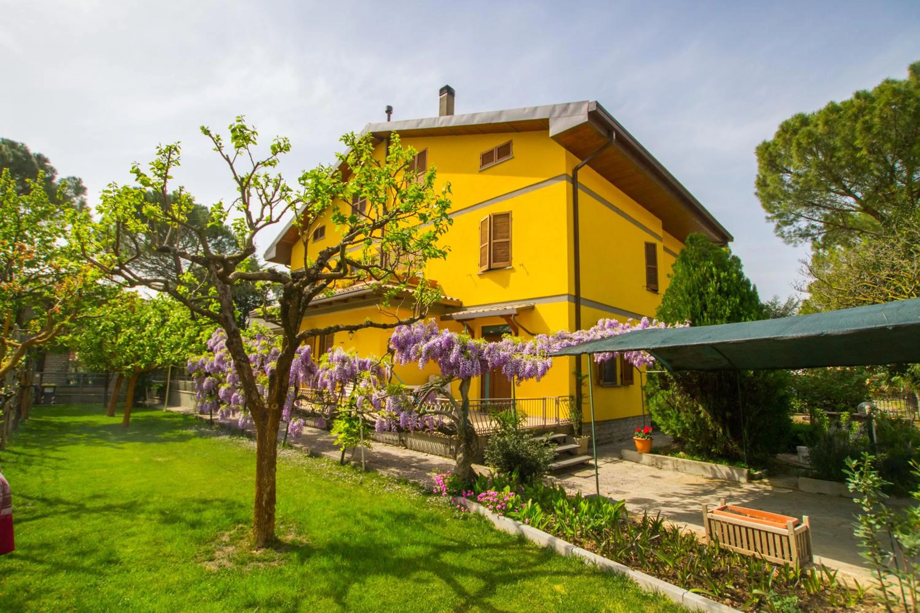 Pets in B&B I Narcisi