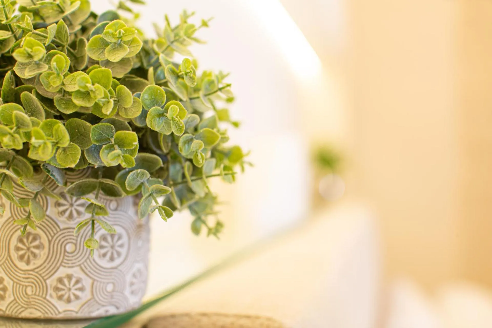 Sunscape Residence Tower