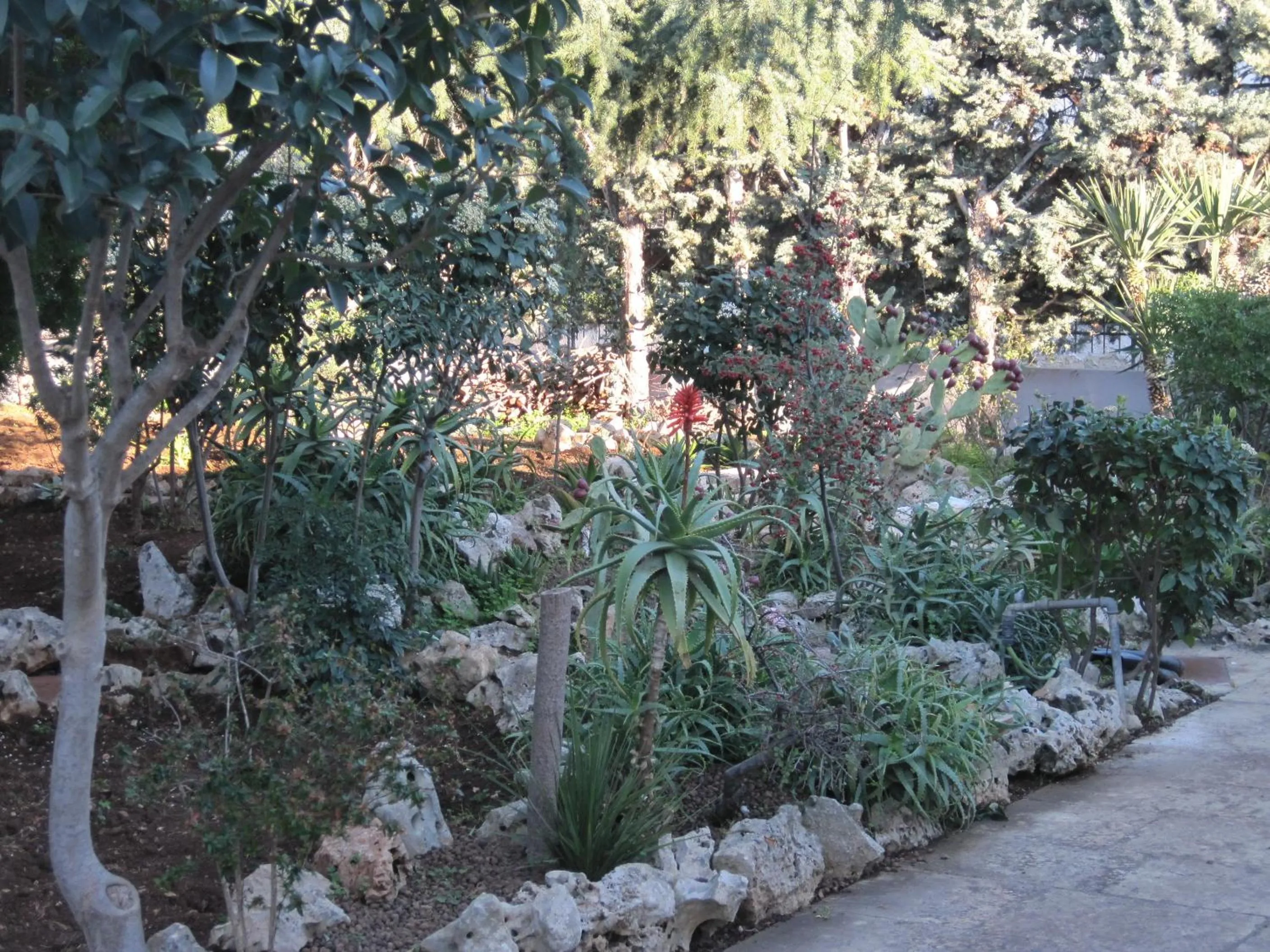 Santos B&B