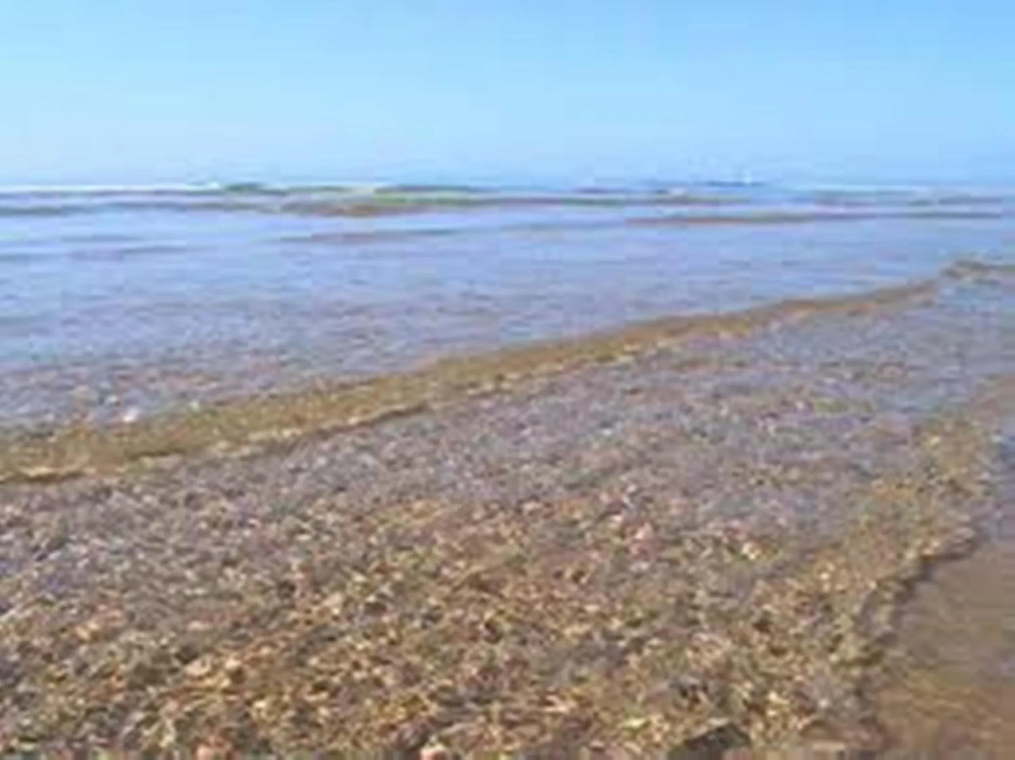 Beach in B&B Alloggi Buonasera