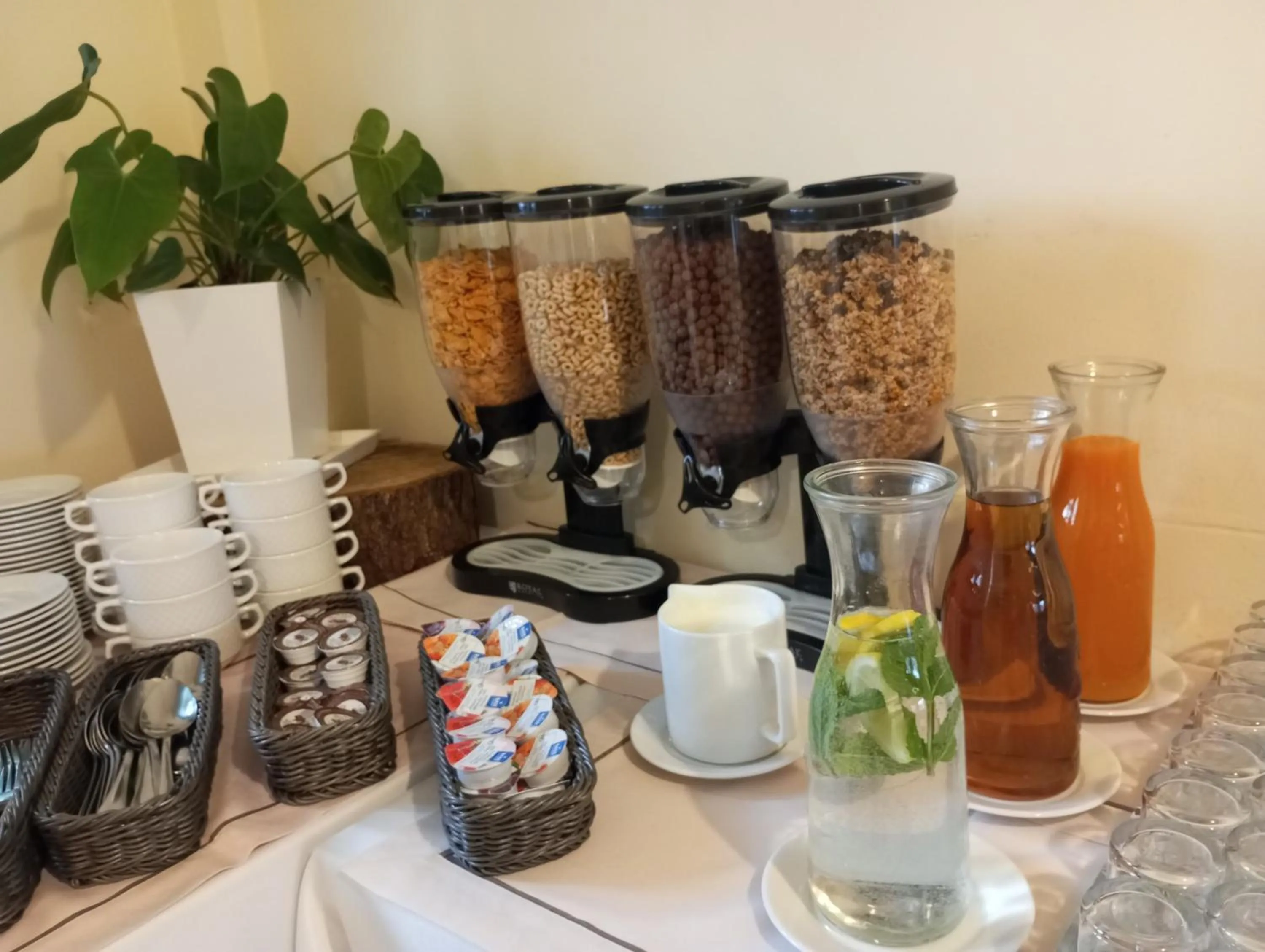 Hotel Hanseatic - Adults Only