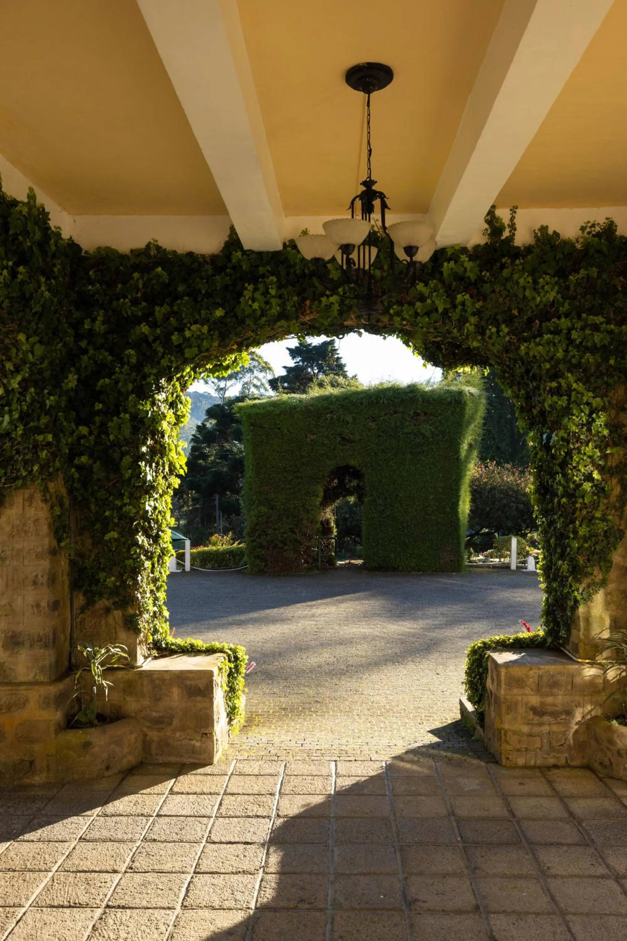 Garden view in The Hill Club