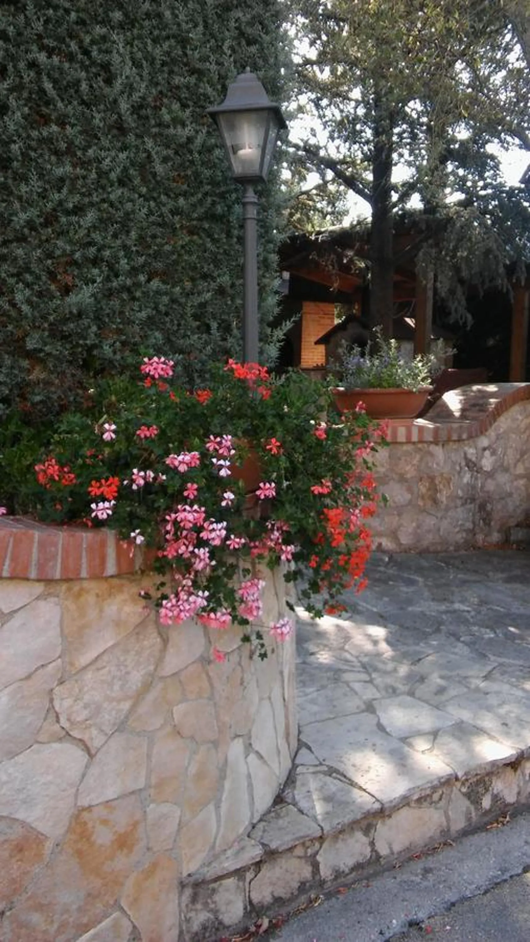 Garden view in Parco Sogni d'Oro