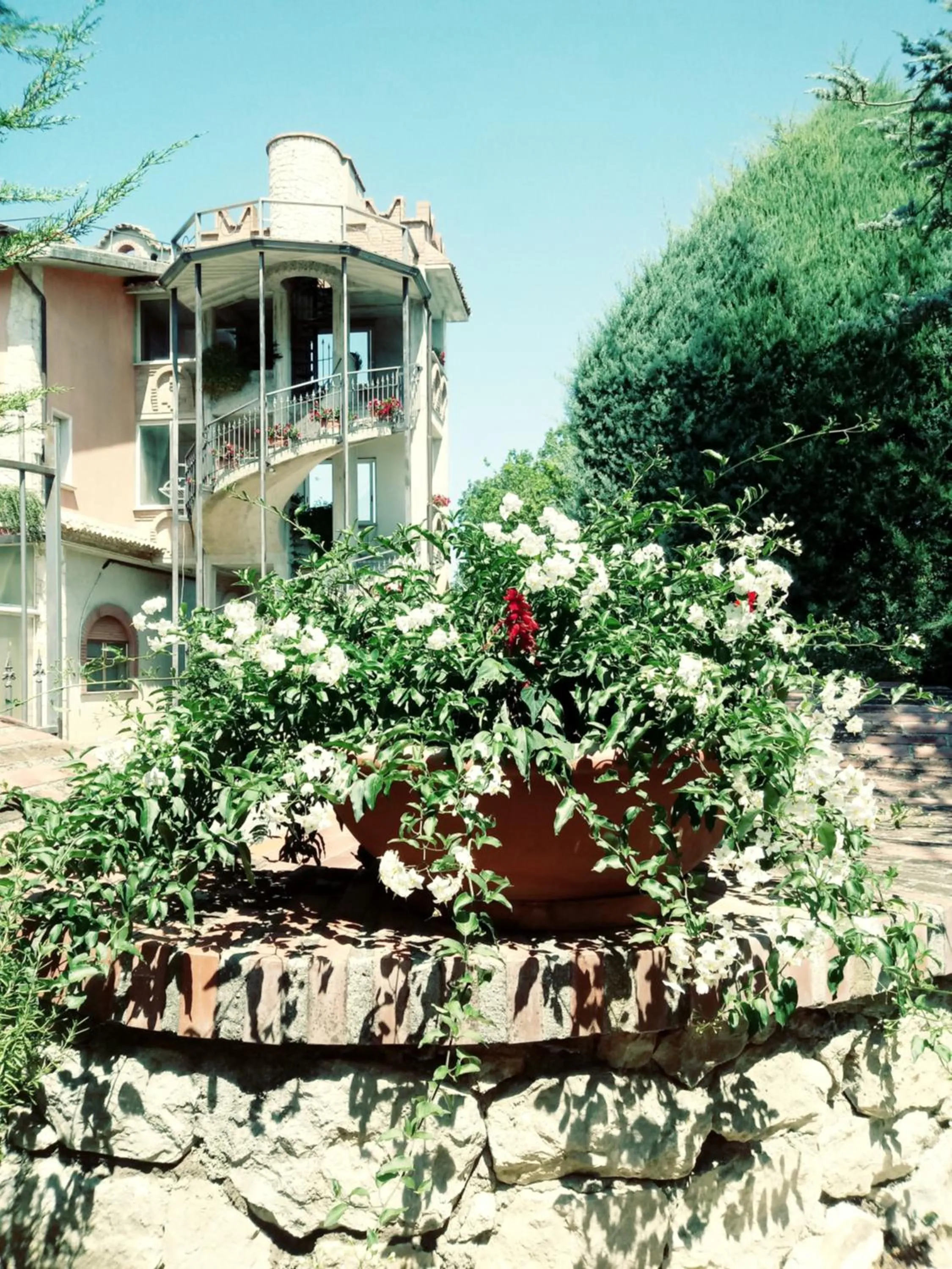 Garden view in Parco Sogni d'Oro