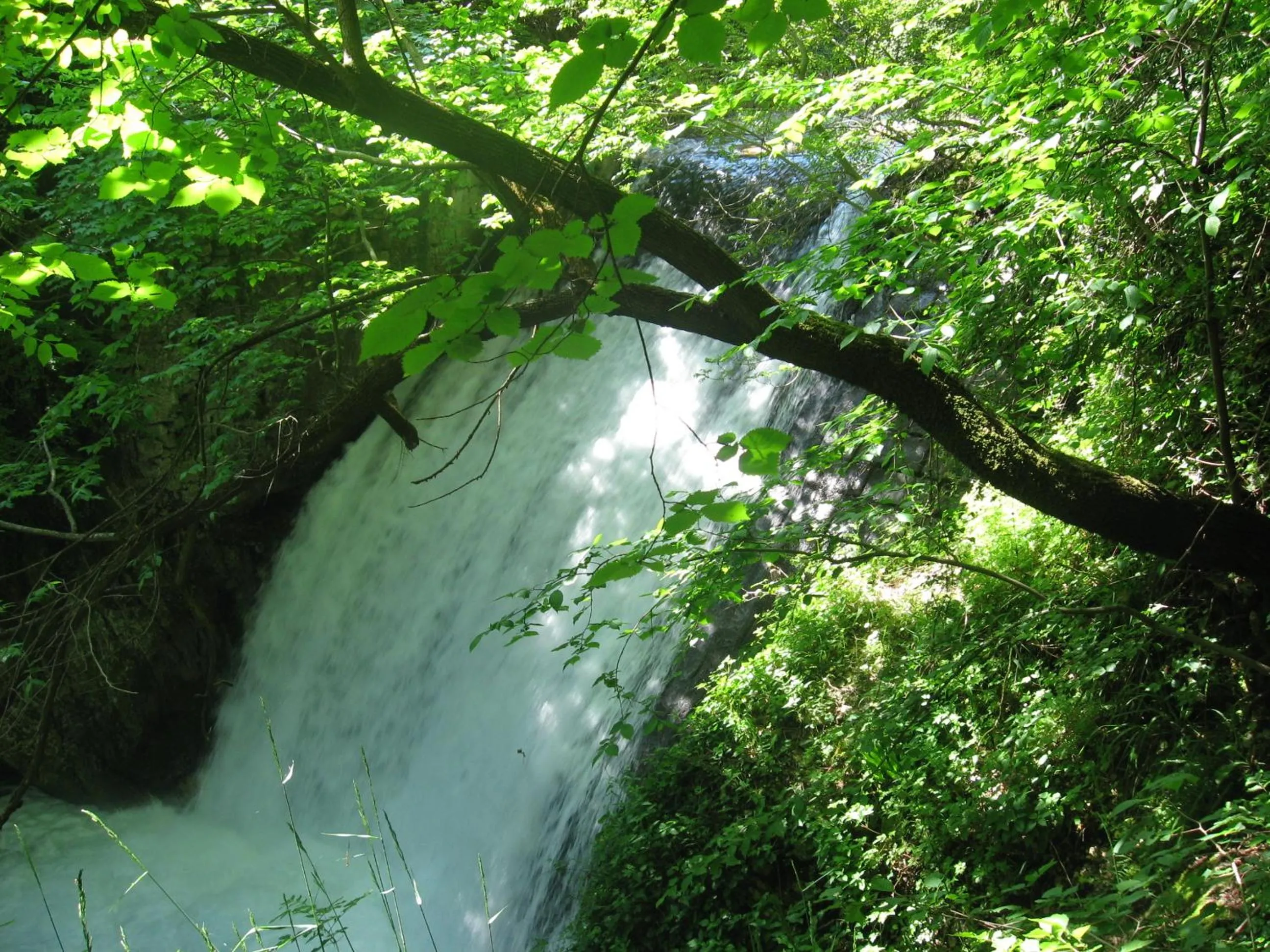 Nearby landmark in Parco Sogni d'Oro