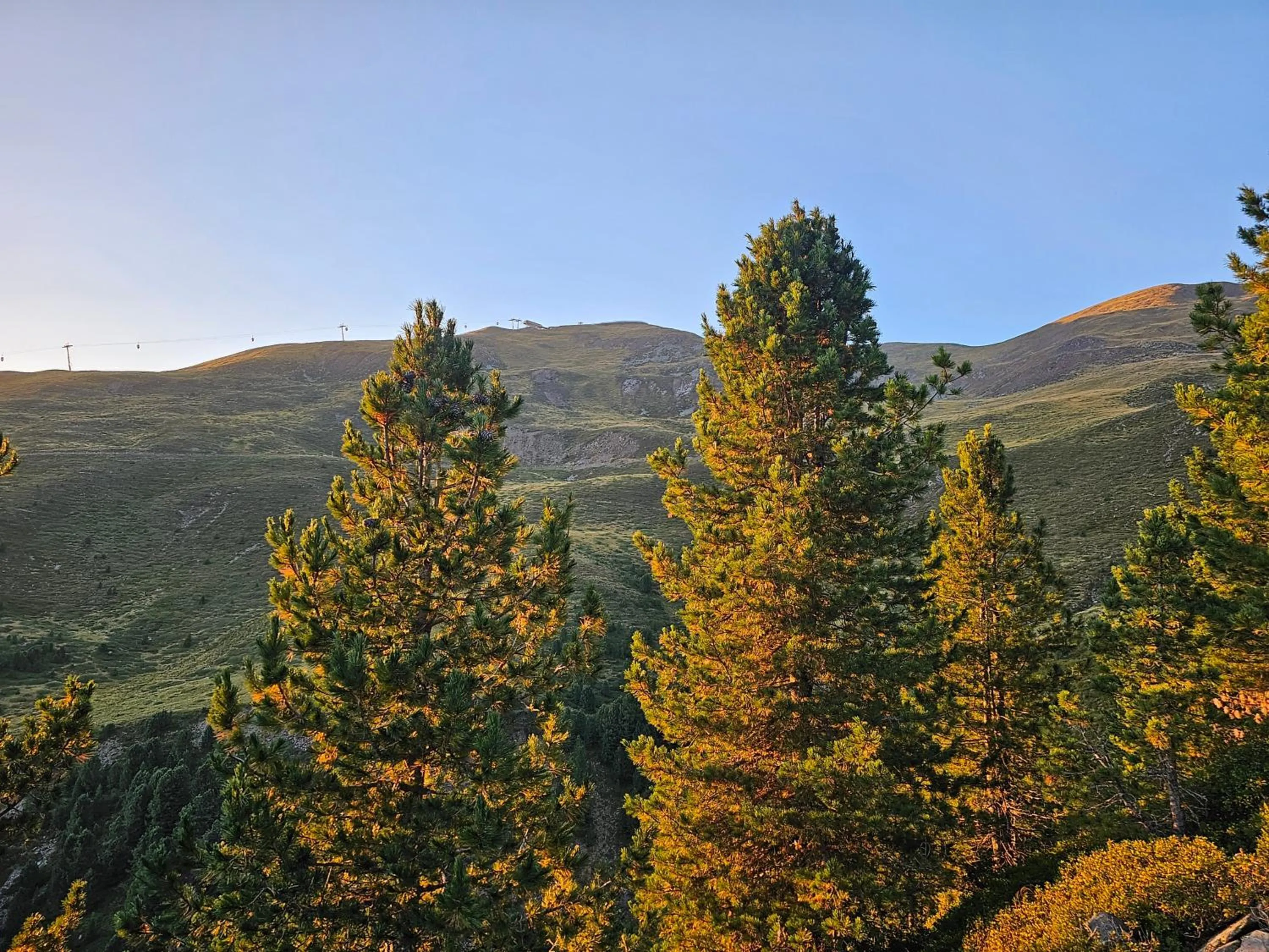 Bird's eye view in PLOSE Parkhotel & Residence