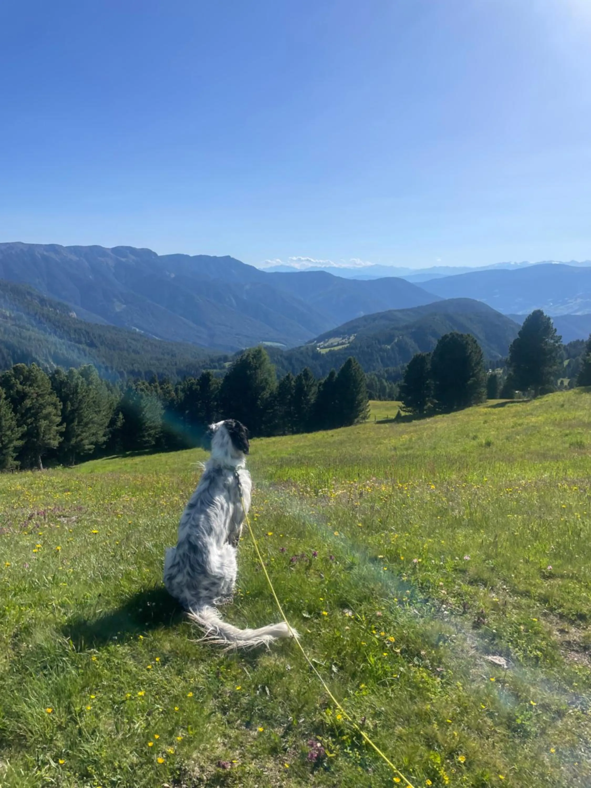 Bird's eye view in PLOSE Parkhotel & Residence
