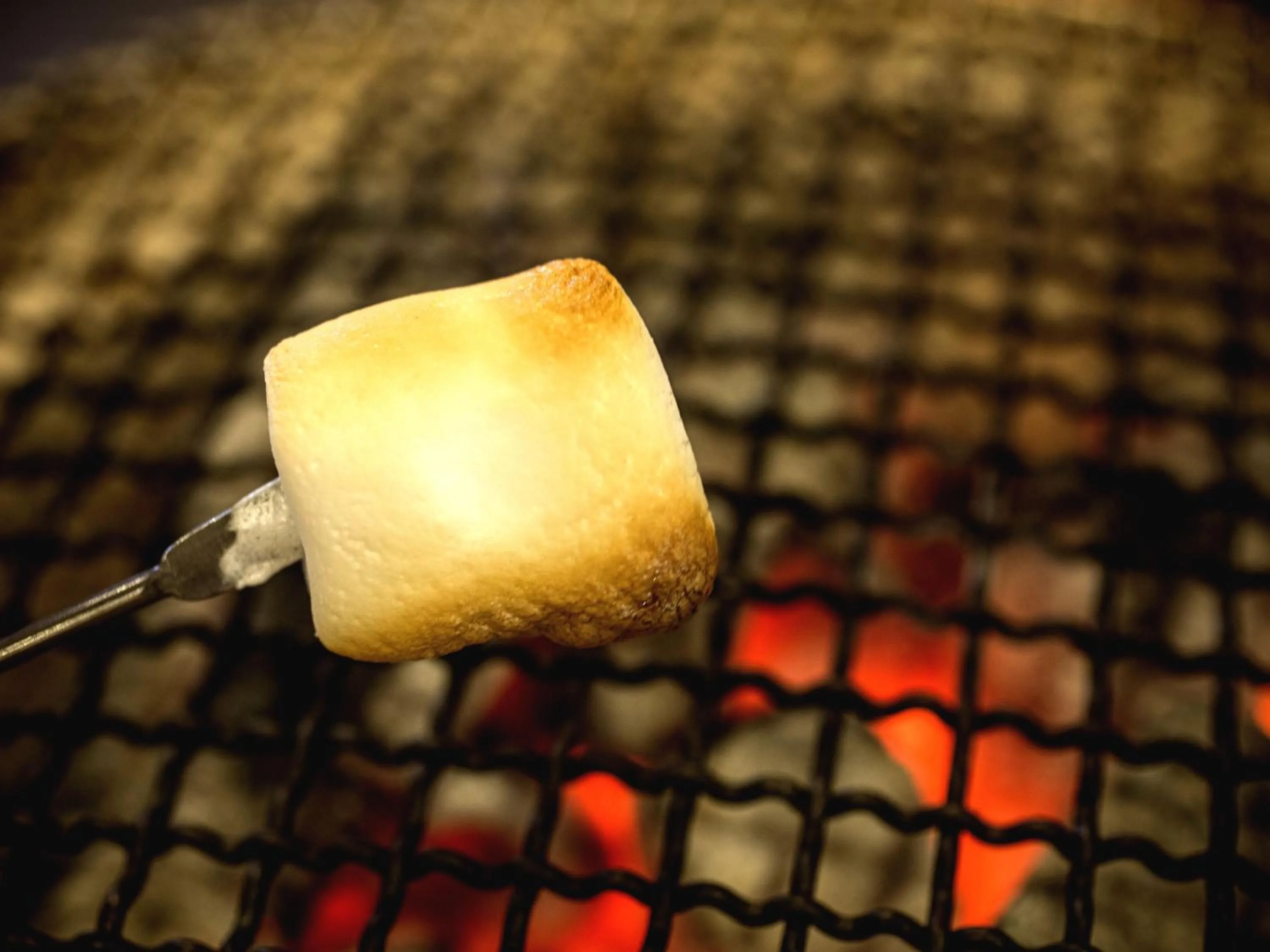 Lounge or bar in Awara No Yado Yagi