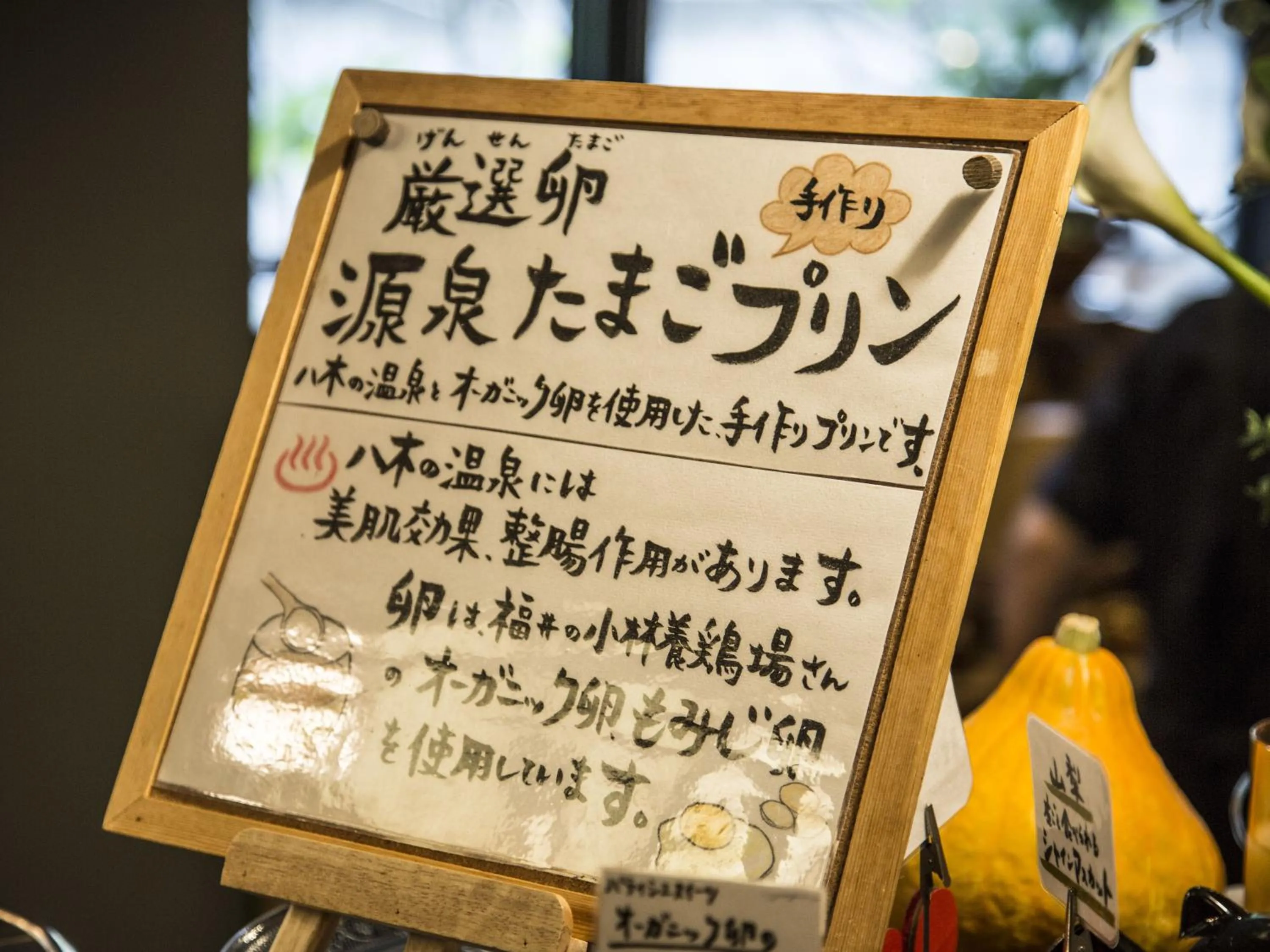 Buffet breakfast in Awara No Yado Yagi