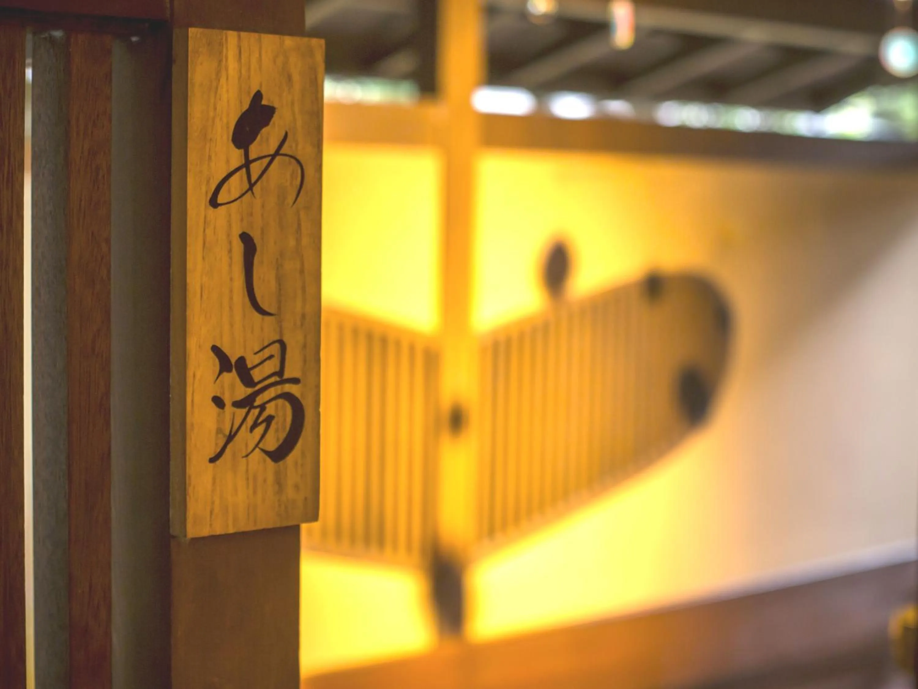 Hot Spring Bath in Awara No Yado Yagi