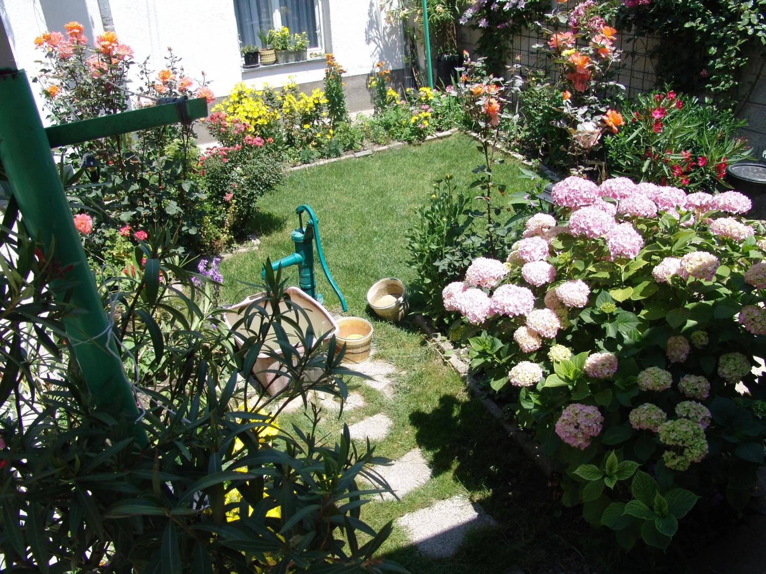 Garden in Bogdanoski Studios & Guest Rooms