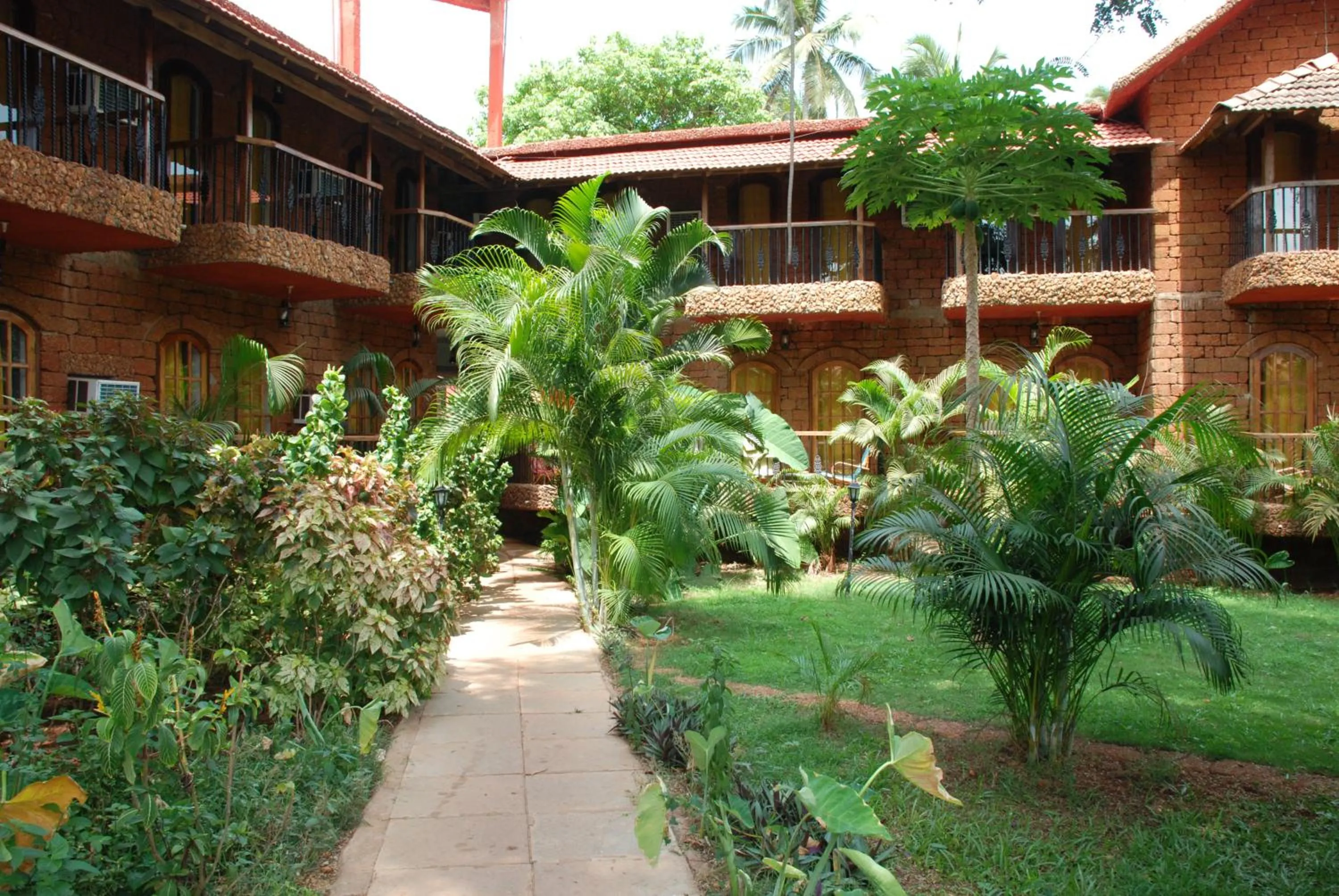 Garden in Sea Breeze Beach, Calangute, Goa