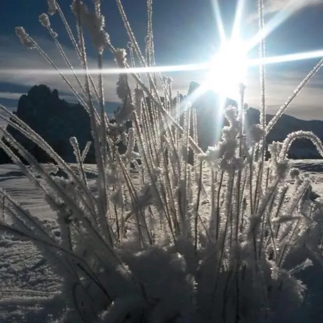 Day in Residence Magdalena