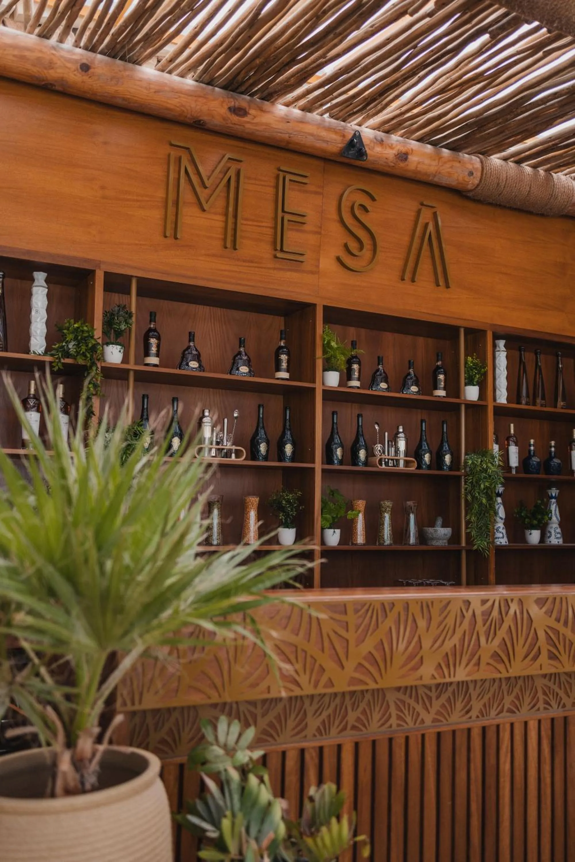 Restaurant/places to eat in Terra Solis Dubai