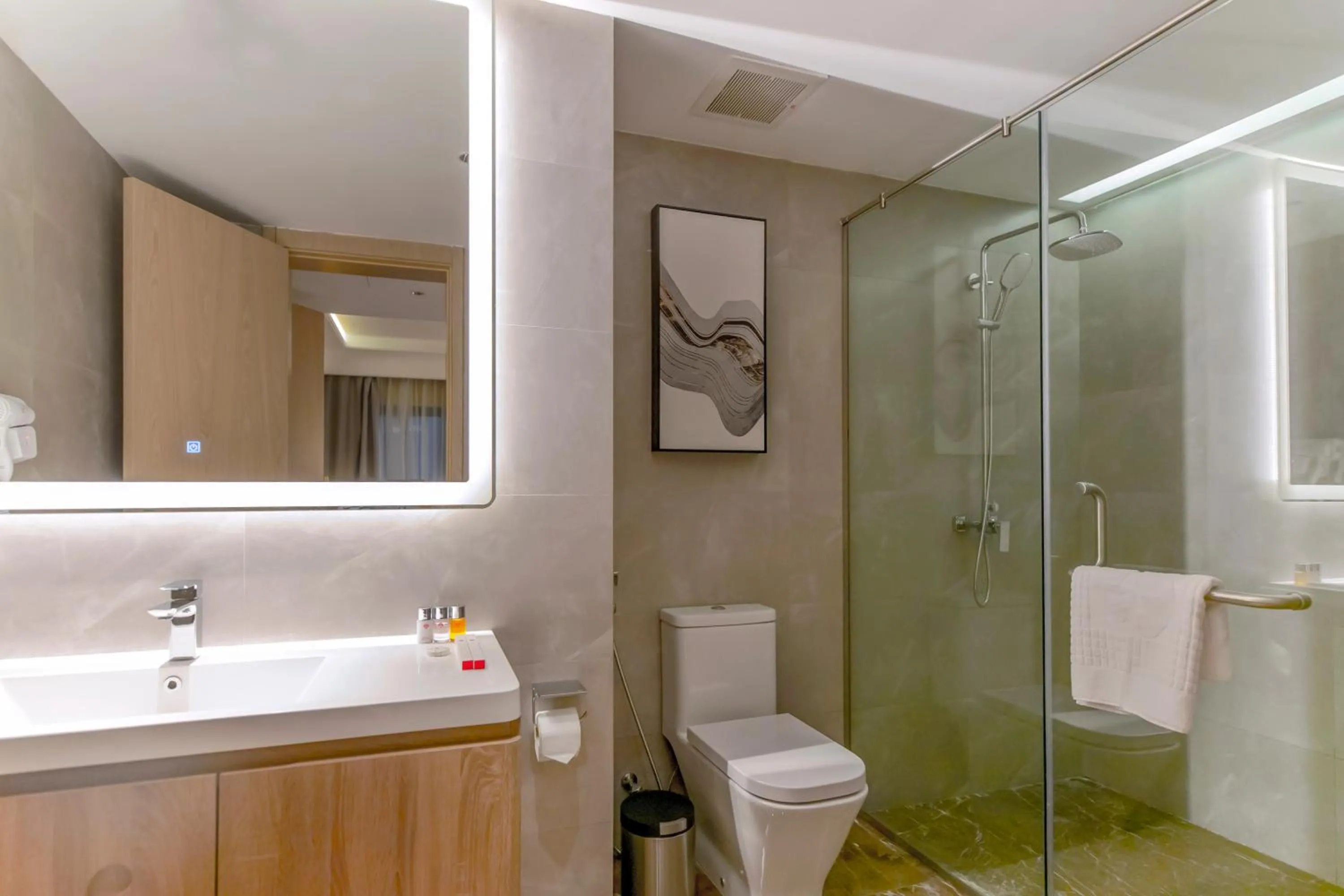 Toilet in Aber City Center