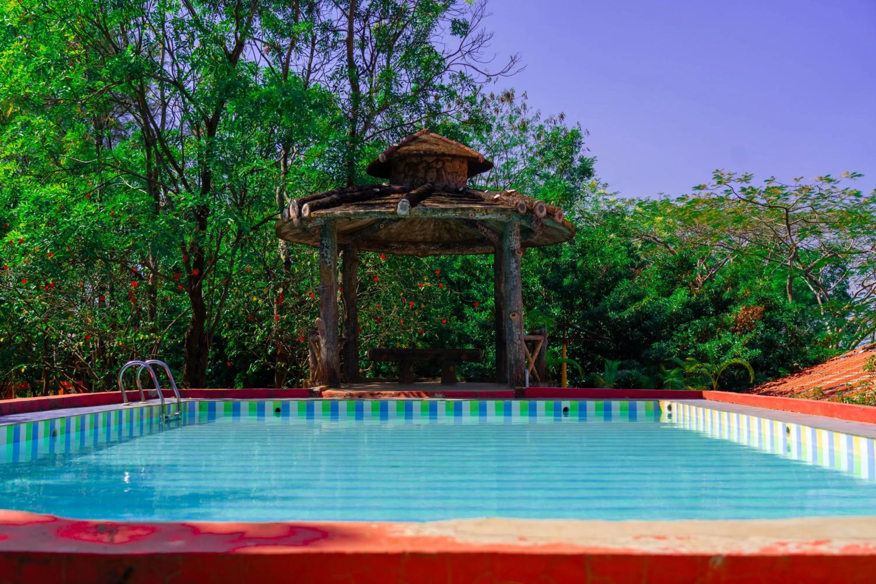 Swimming pool in Wild Camp- The Nature Resort