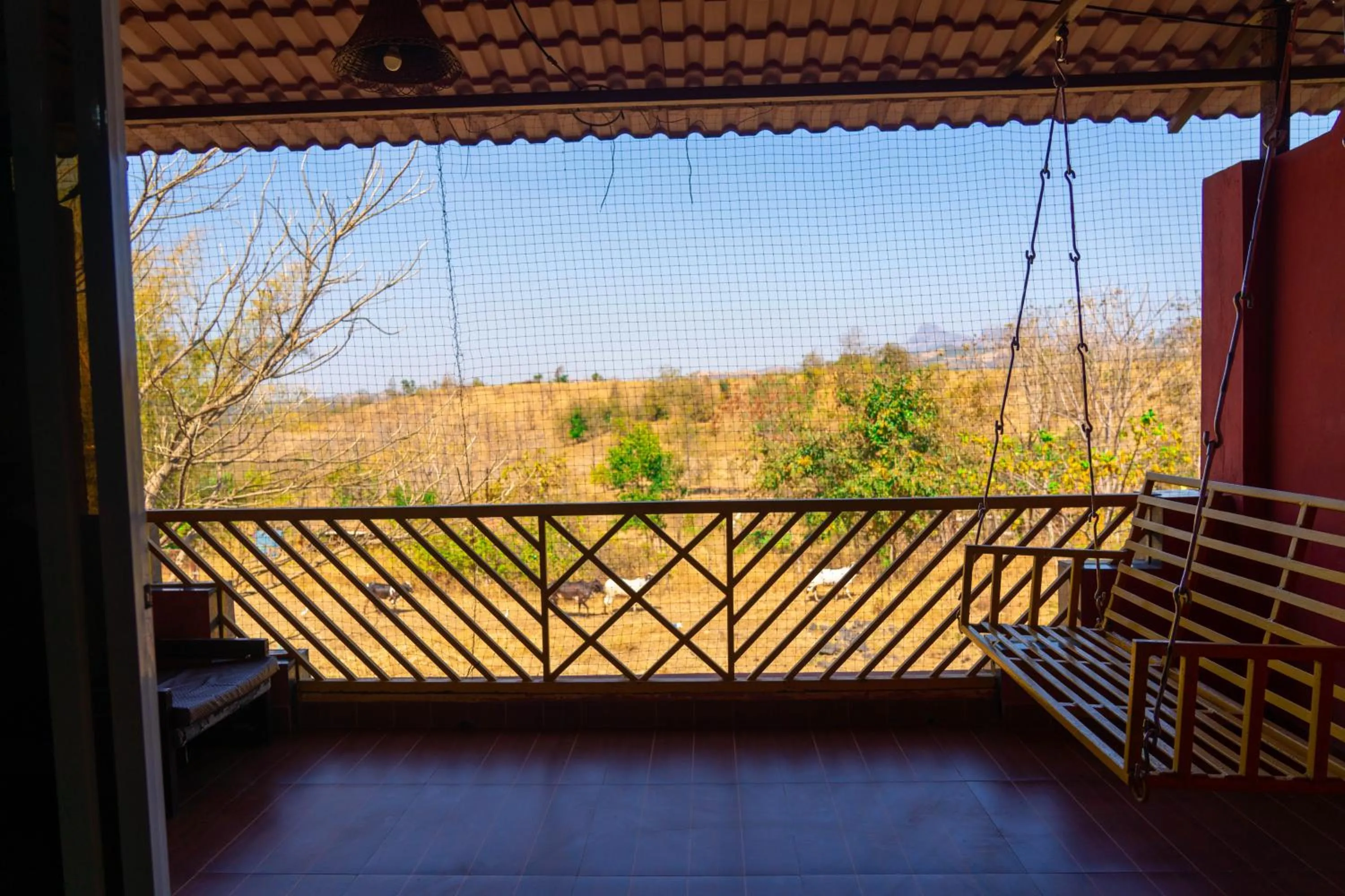 Balcony/Terrace in Wild Camp- The Nature Resort