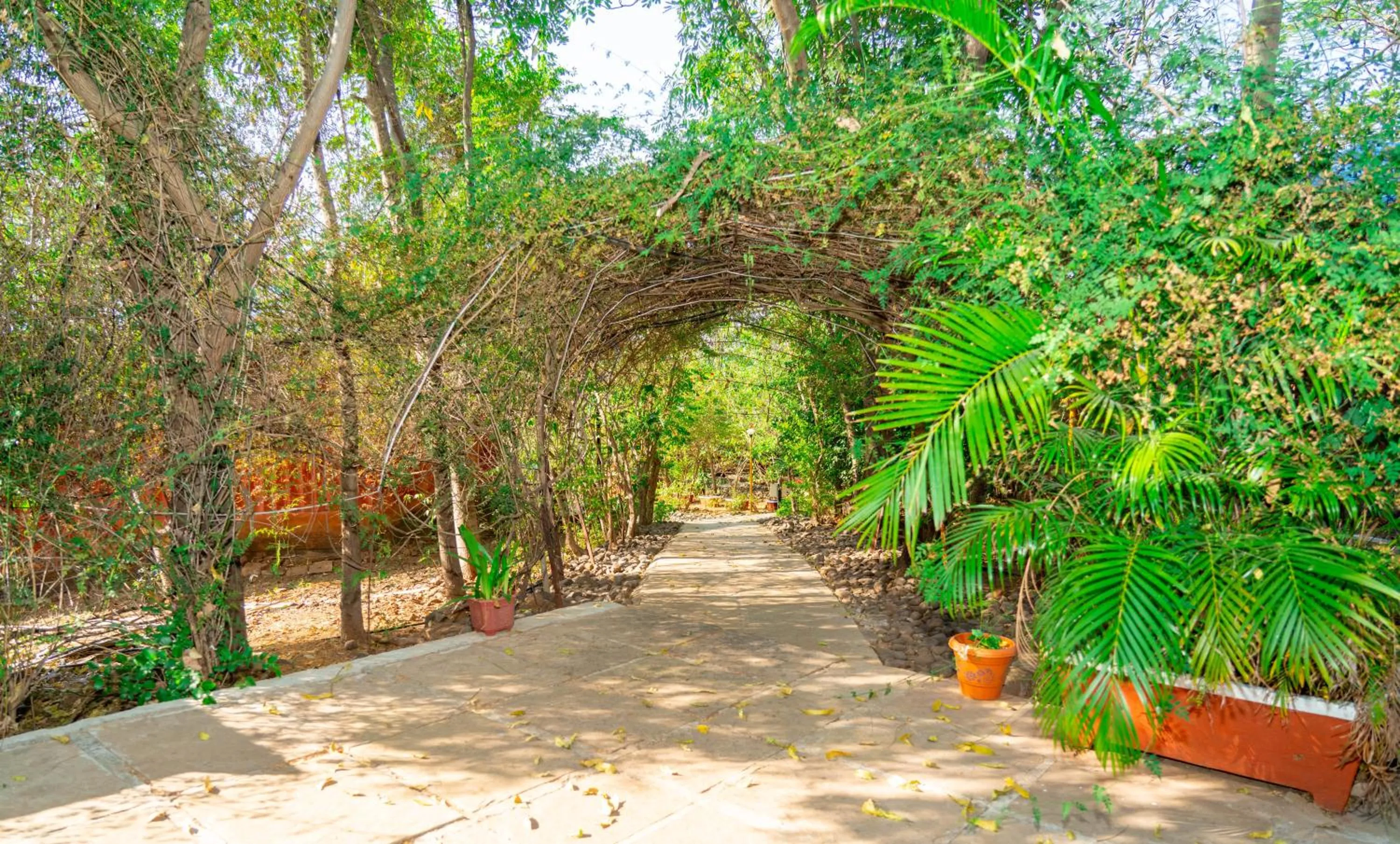 Facade/entrance in Wild Camp- The Nature Resort