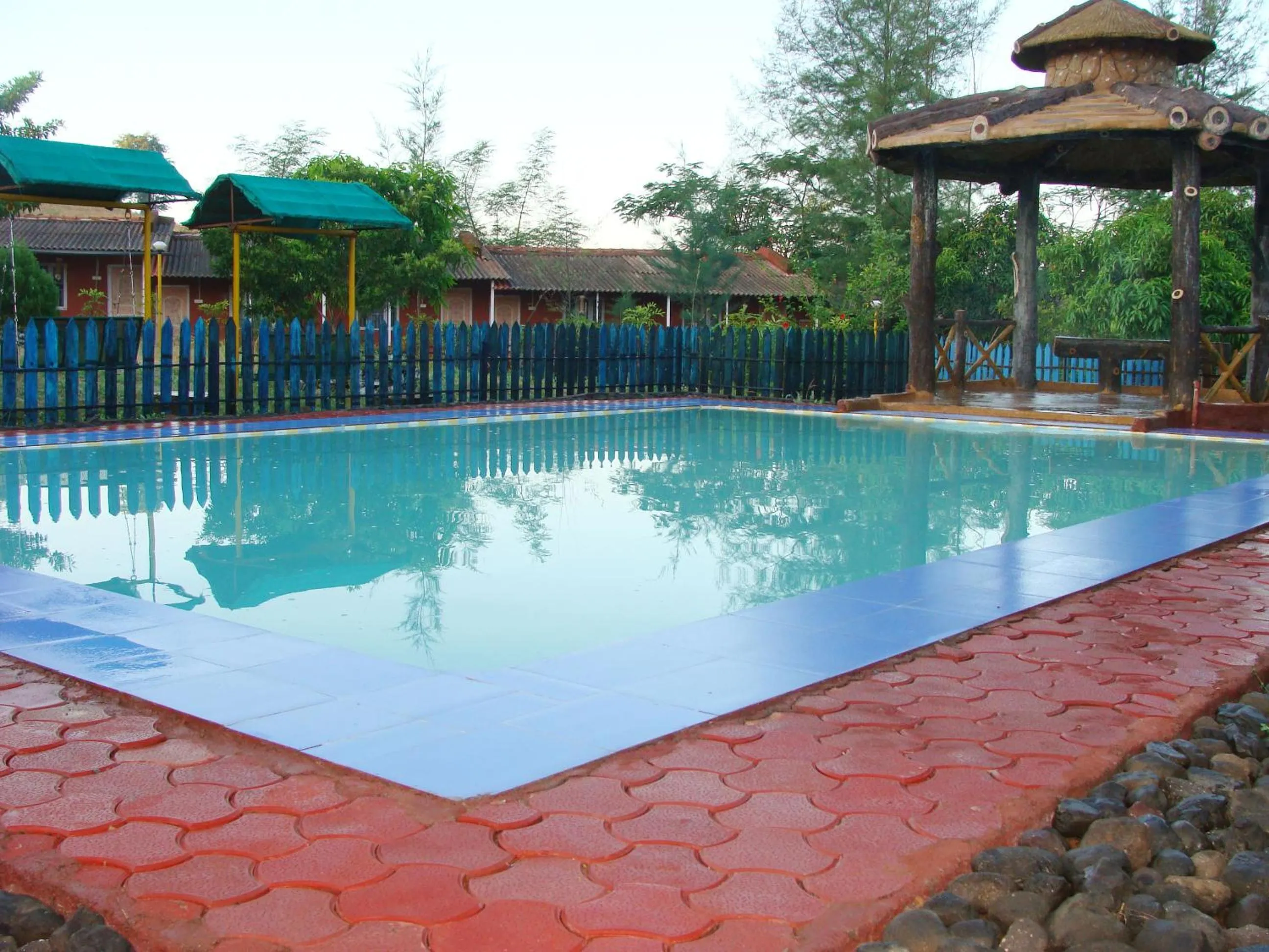 Swimming pool in Wild Camp- The Nature Resort