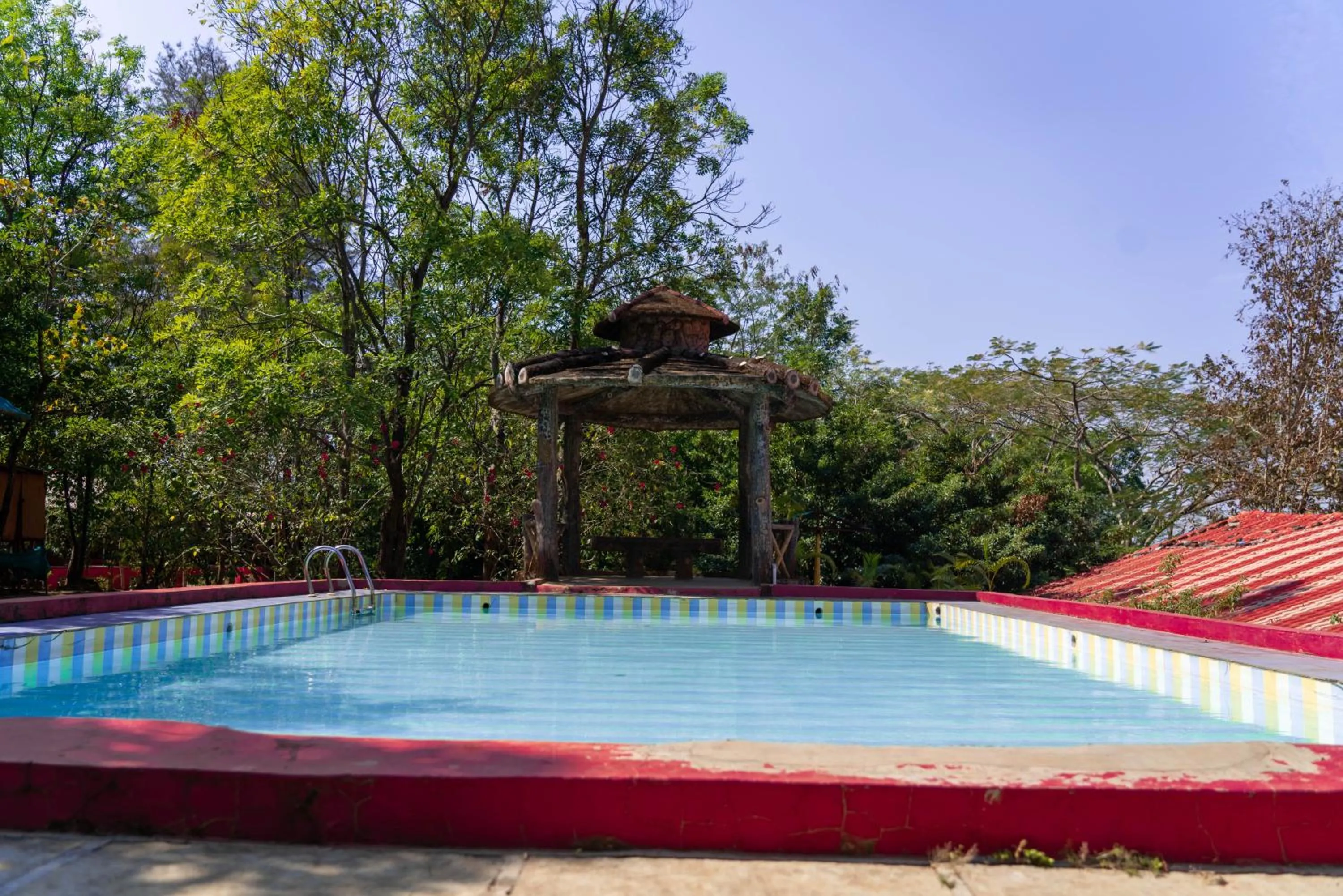 Swimming pool in Wild Camp- The Nature Resort