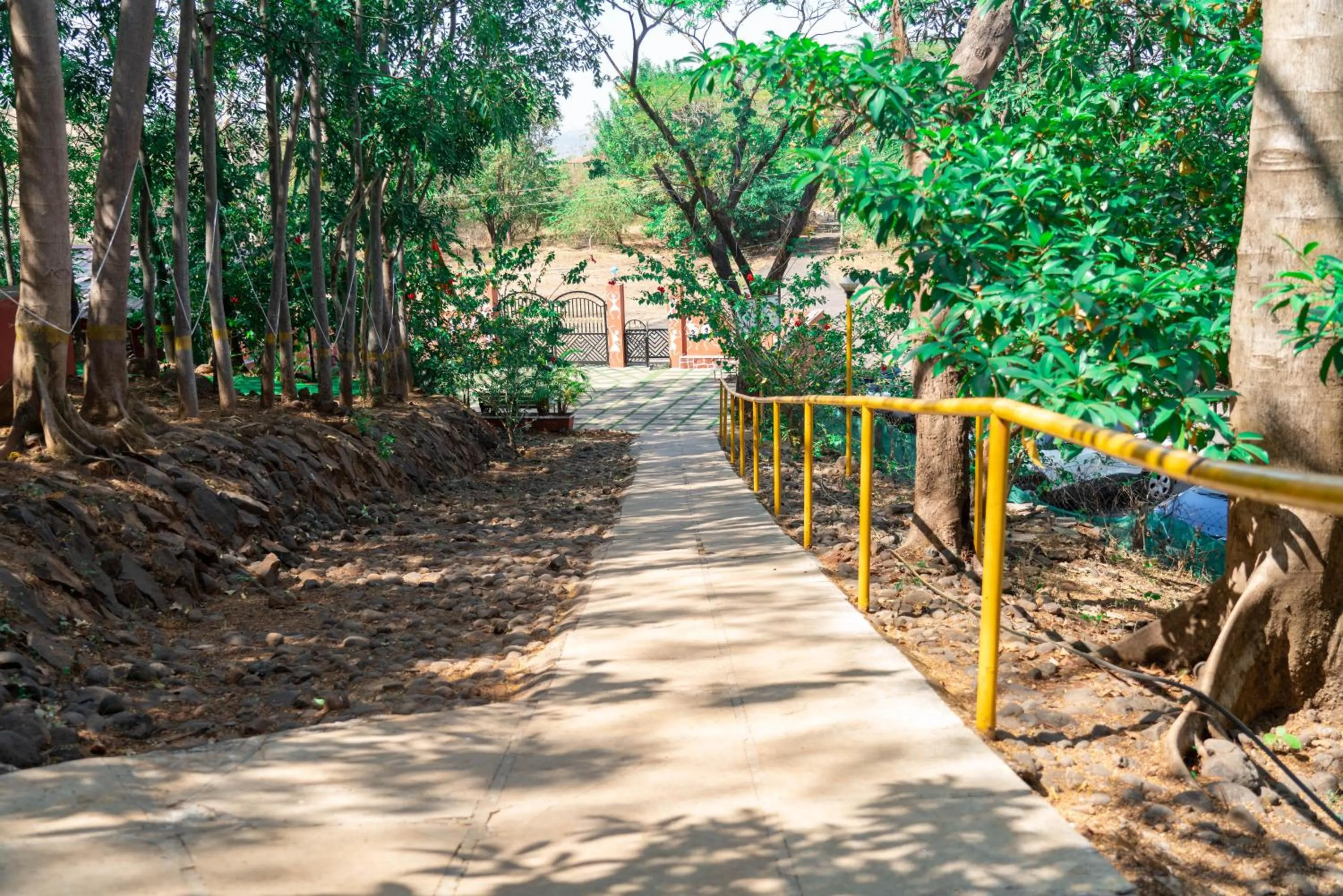 Natural landscape in Wild Camp- The Nature Resort