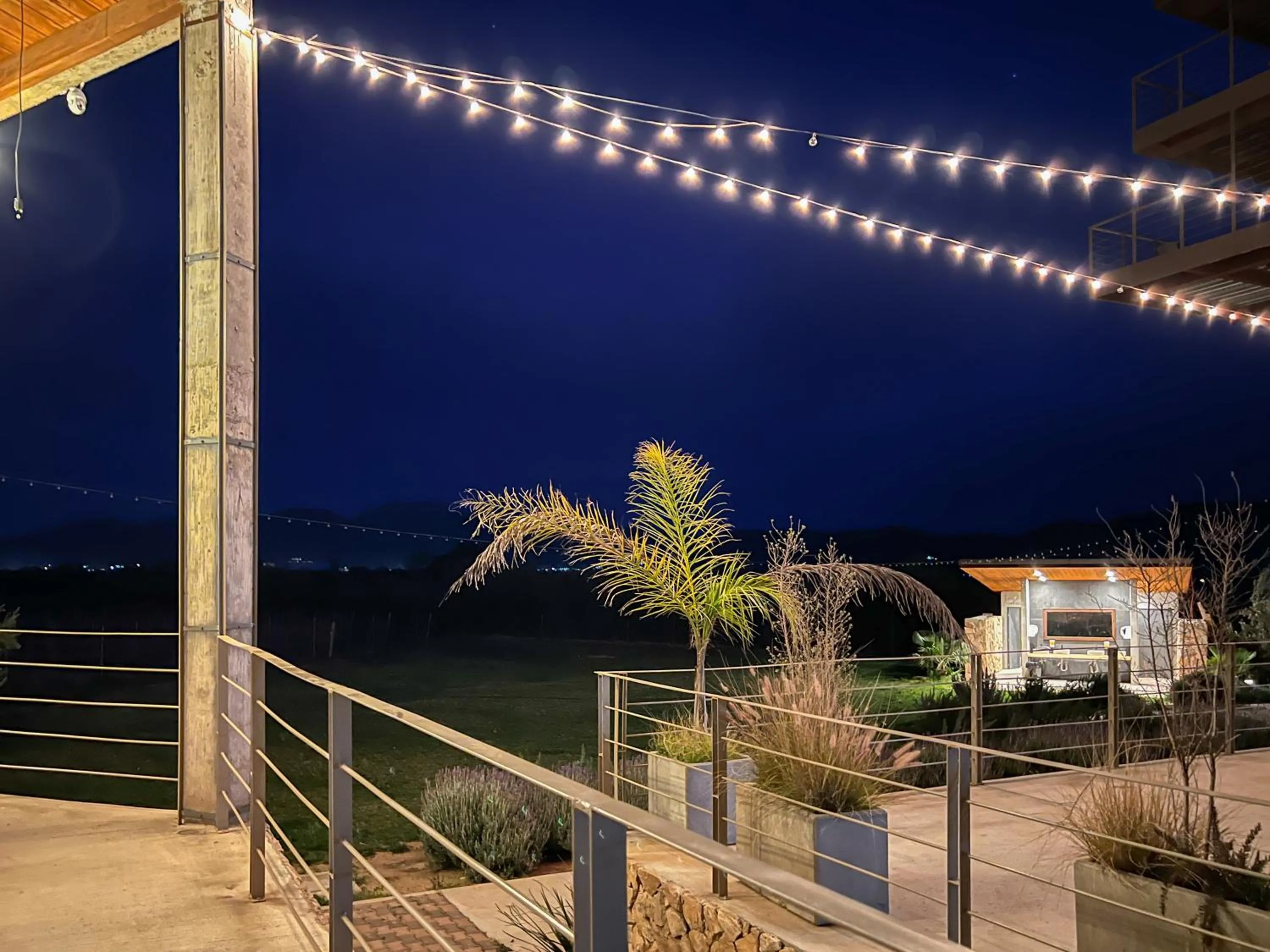 Off site in Viñedo Casa la Noria