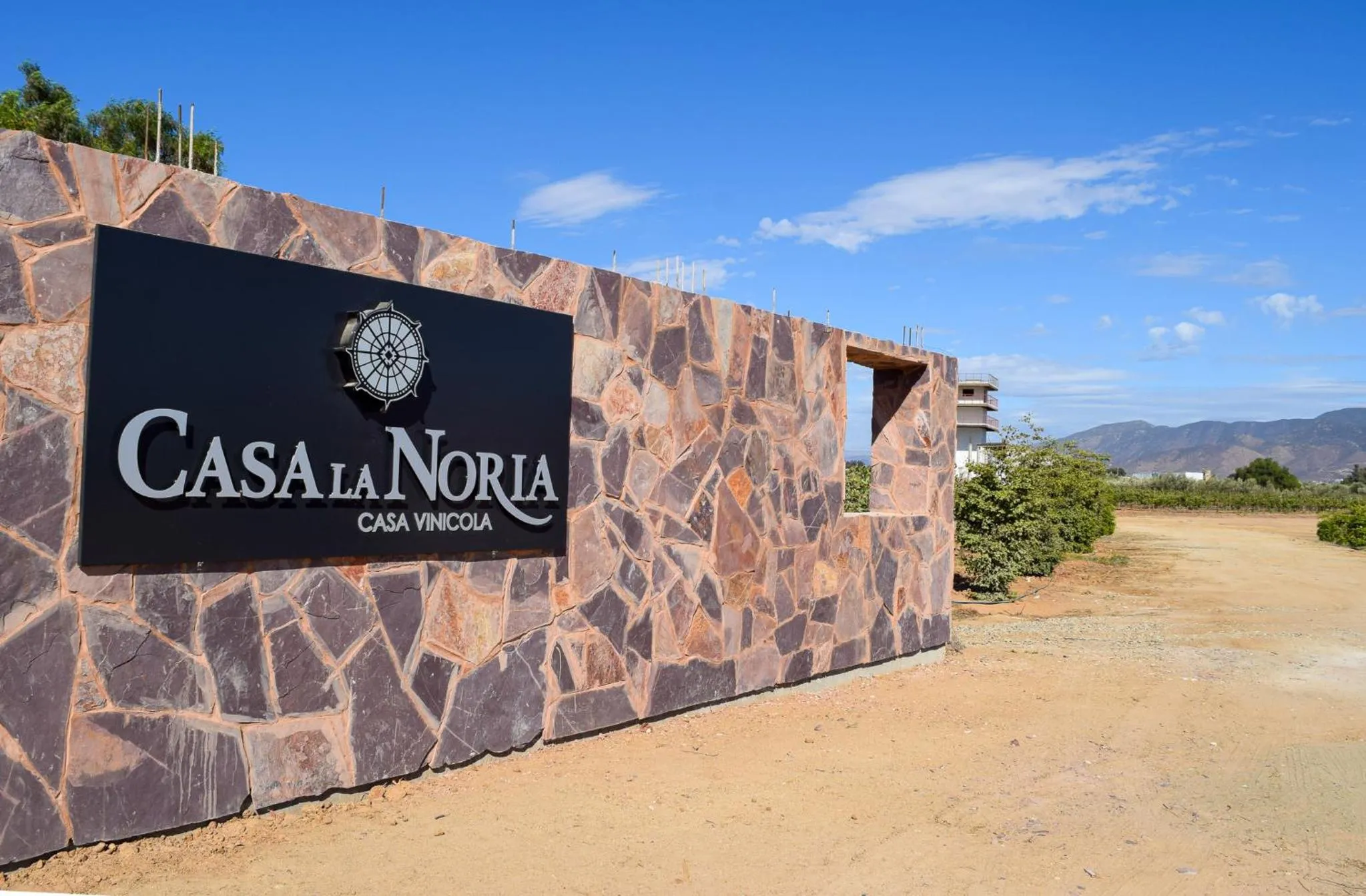 Viñedo Casa la Noria