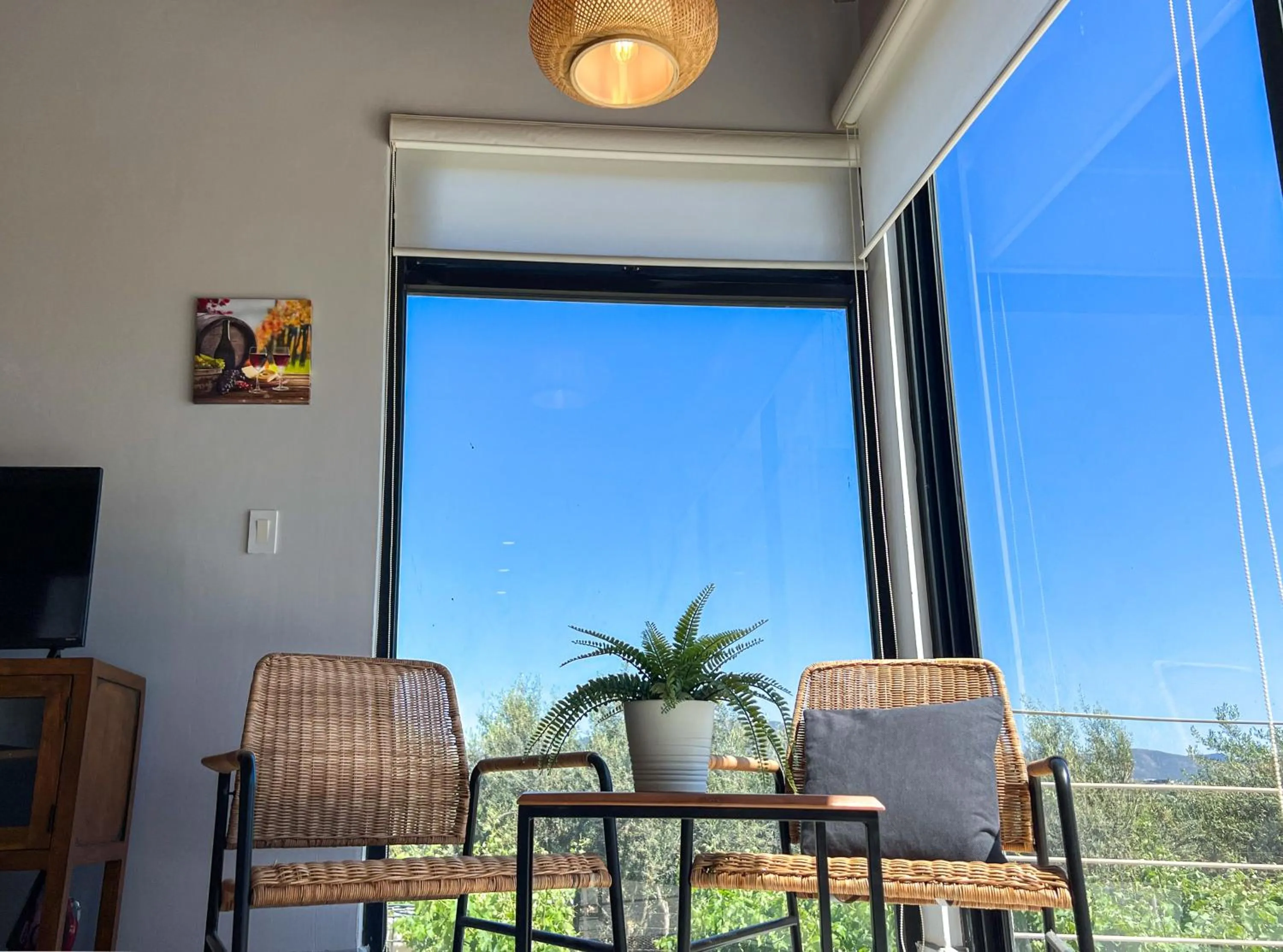 Viñedo Casa la Noria