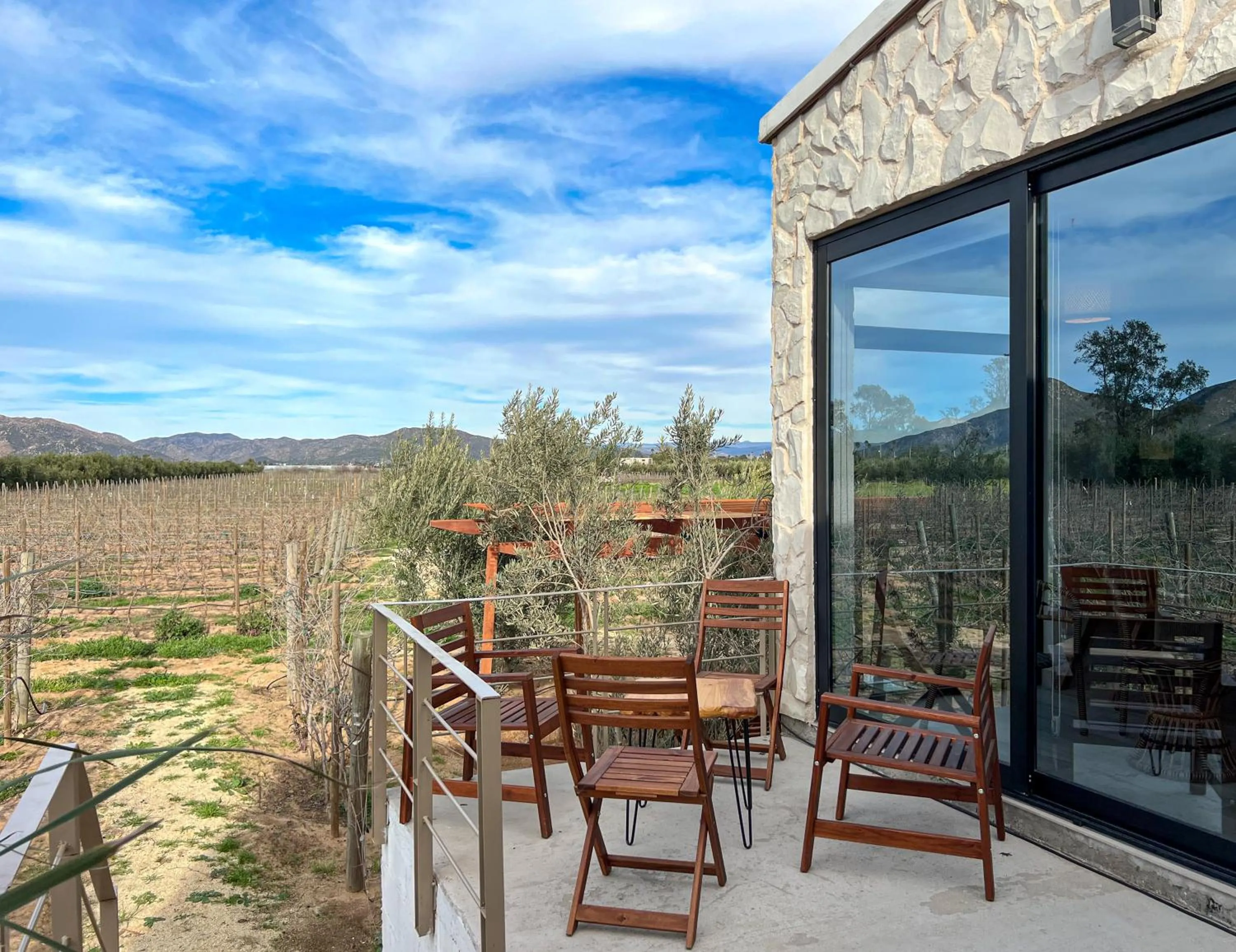 Viñedo Casa la Noria