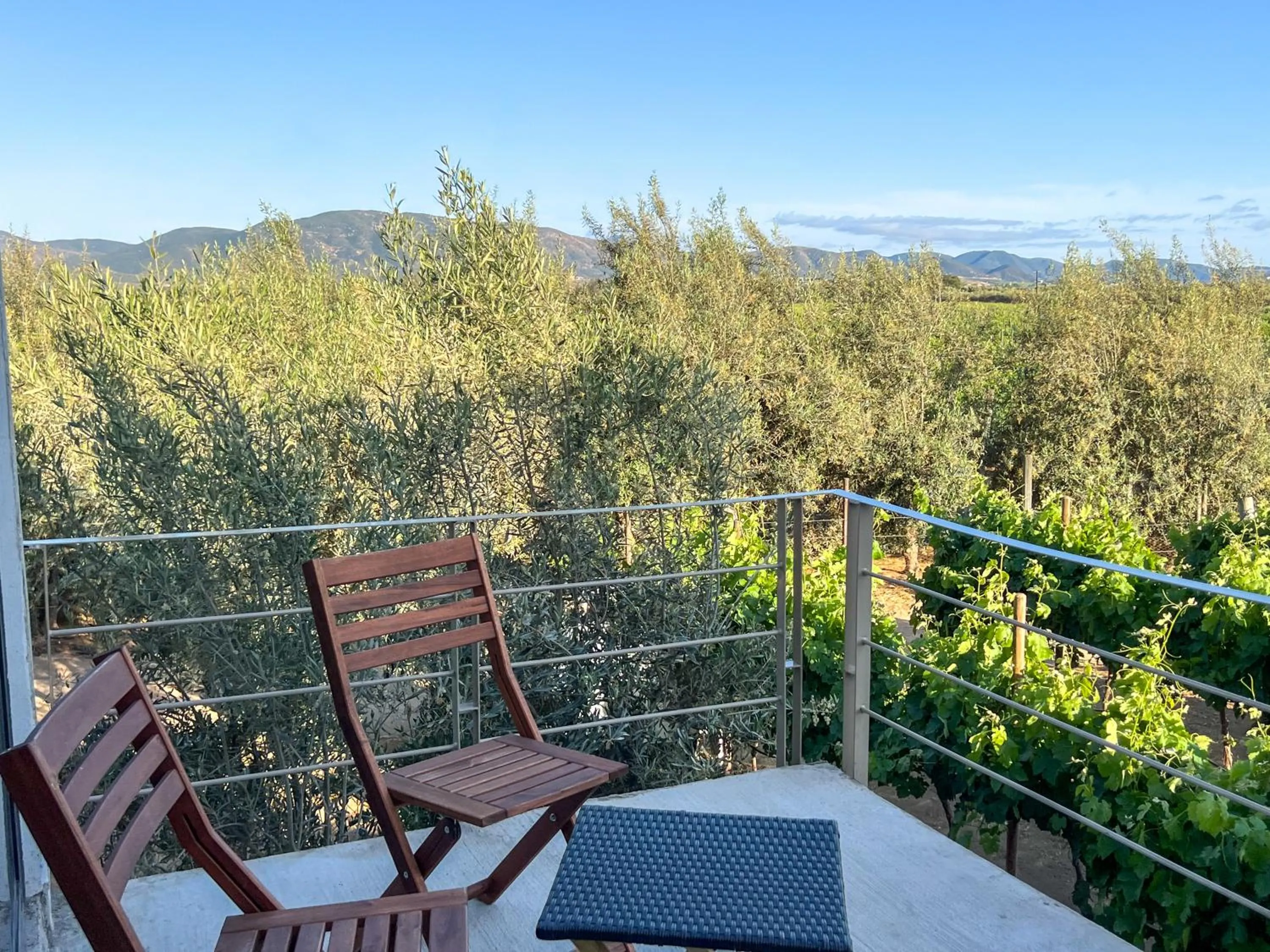 Viñedo Casa la Noria