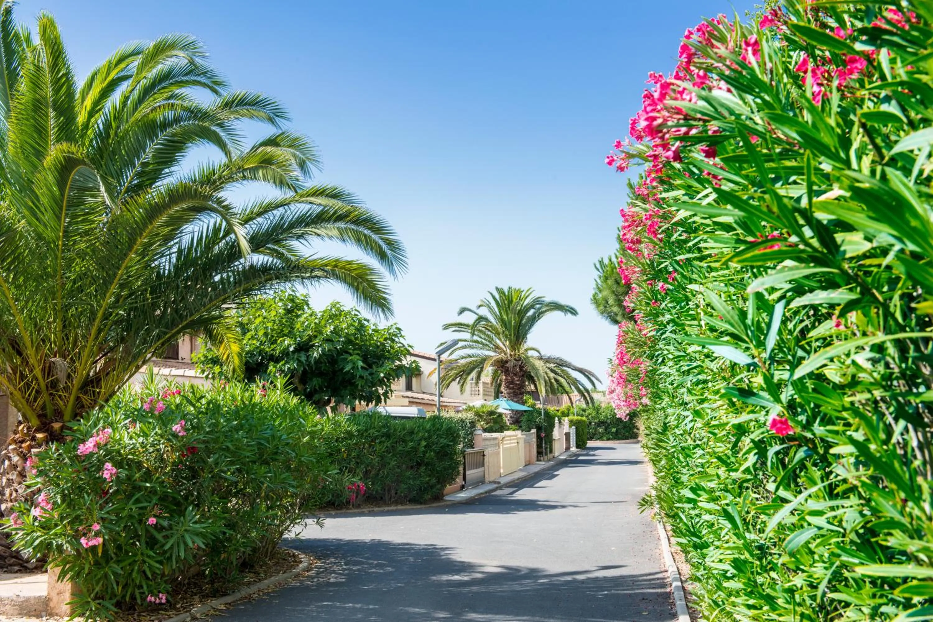 Street view in Les Tamaris et Les Portes du Soleil