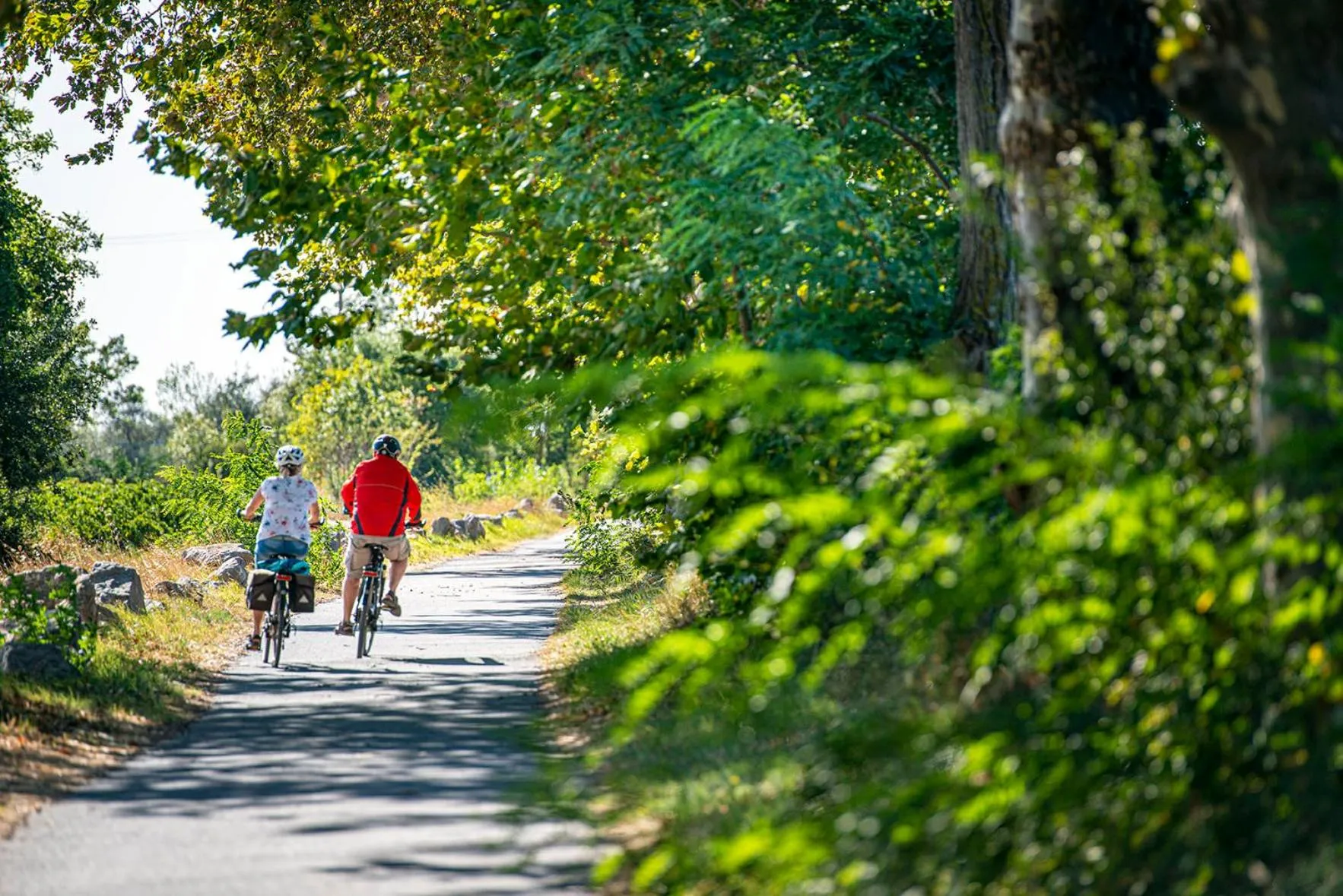 Cycling in Les Tamaris et Les Portes du Soleil