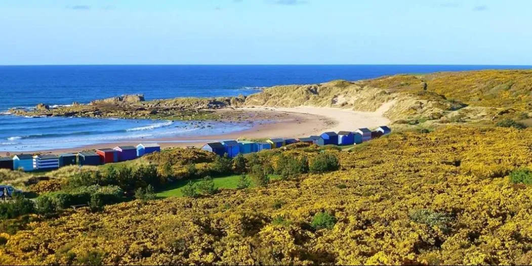 Beach in The Station