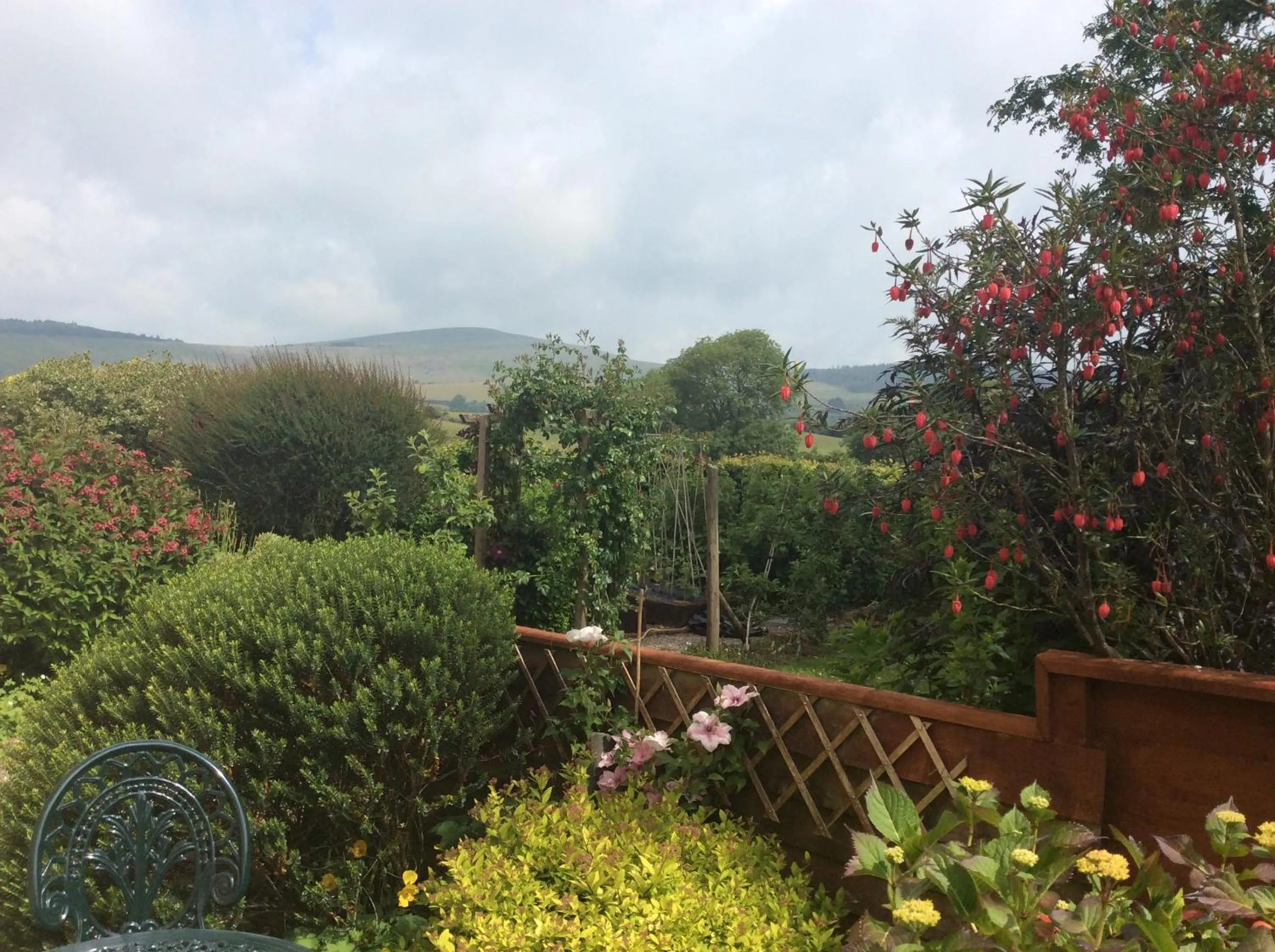 Brynhaul Bed and Breakfast