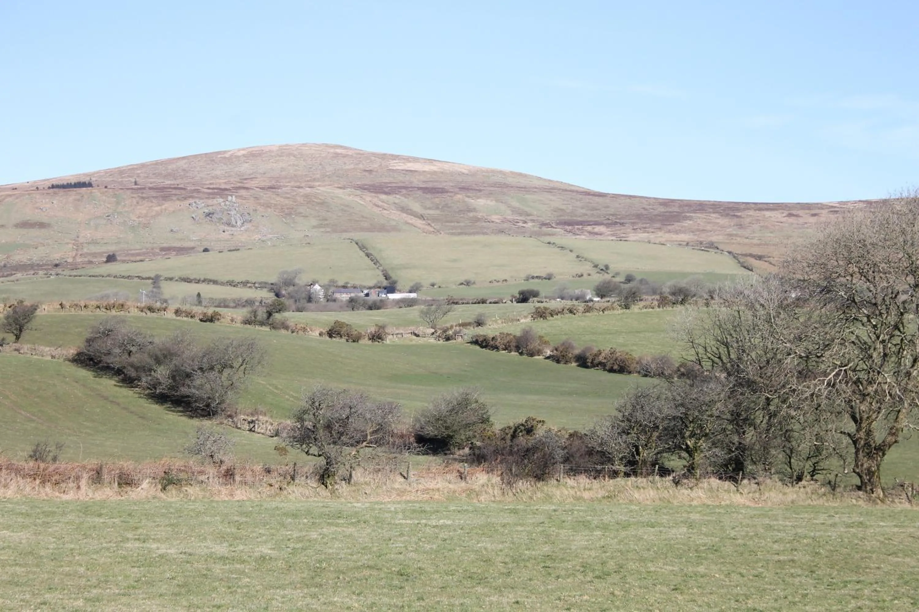 Brynhaul Bed and Breakfast